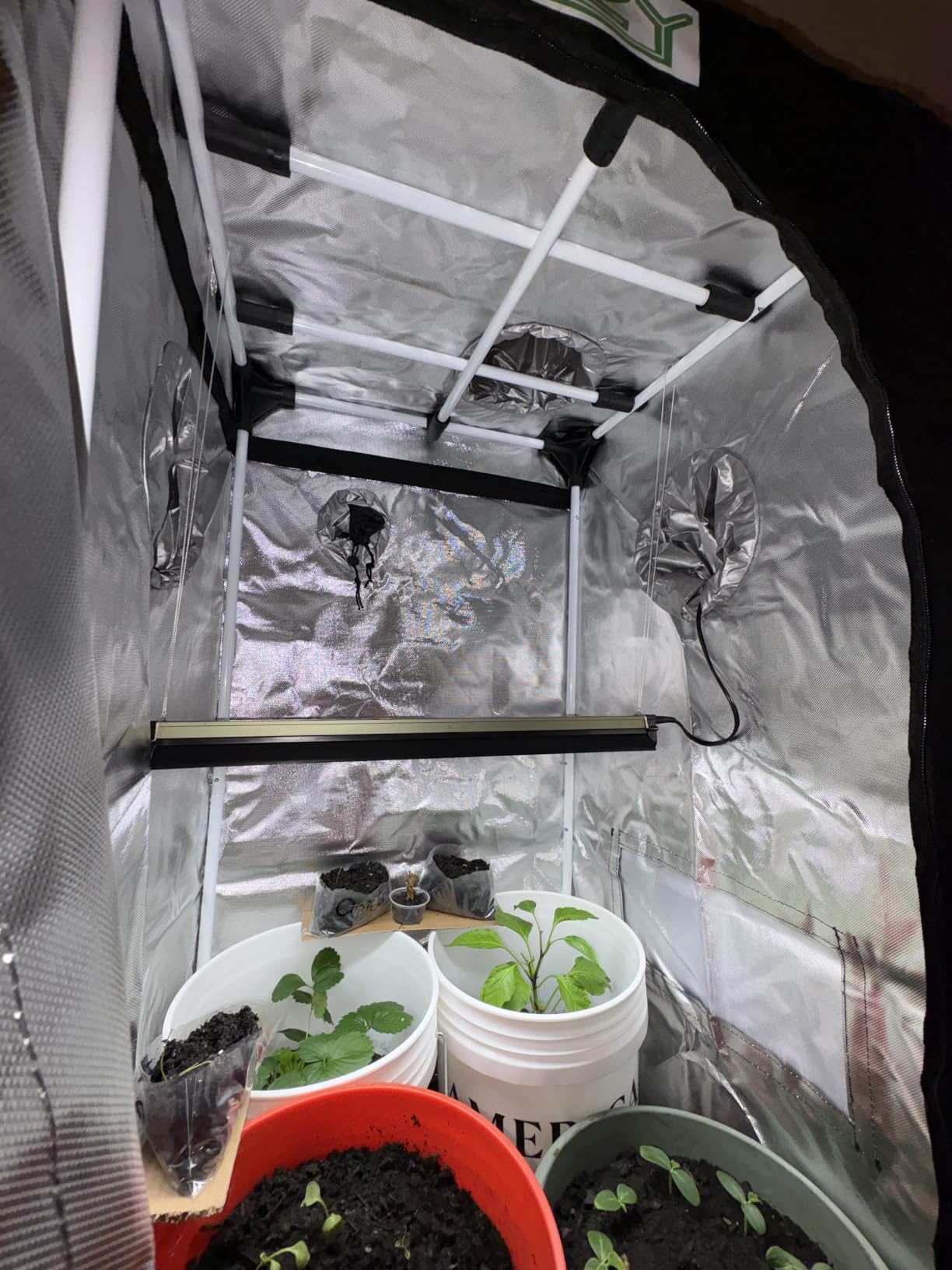 zazzy 4x2 Grow Tent, 48
