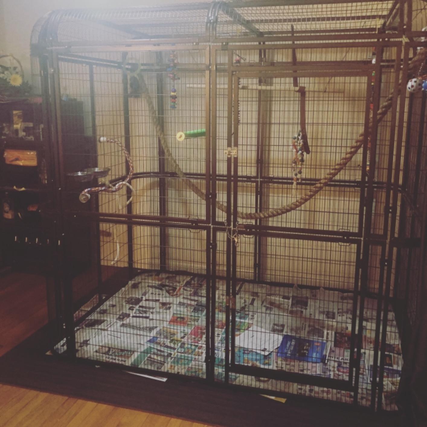 Large Walk-in Cages Heavy Duty Bird Cage Outdoor Aviary Parrot Macaw Conure Lovebird Pet House Finch Parakeet Cockatiel Macare Birdcages Black customer photo 2