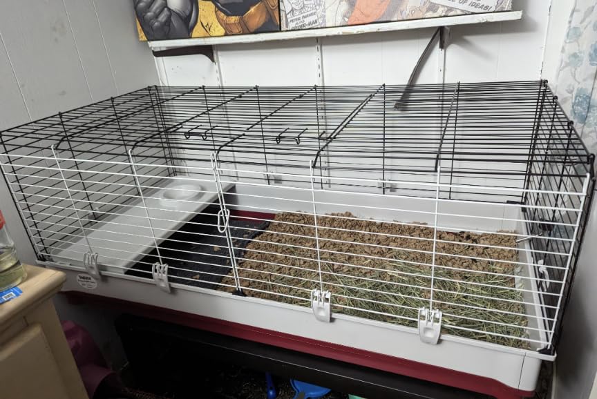 Midwest Homes for Pets Deluxe Rabbit & Guinea Pig Cage, X-Large, White & Red customer photo 1
