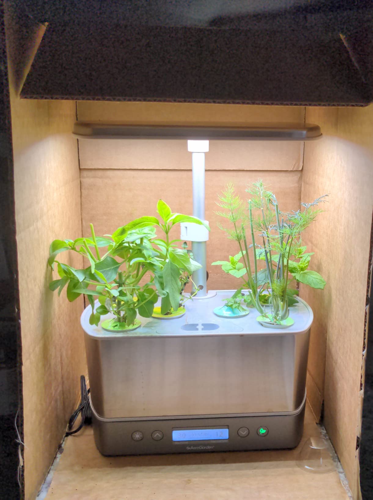 AeroGarden Harvest Elite, Stainless Steel | Indoor Garden with LED Grow Light customer photo 1