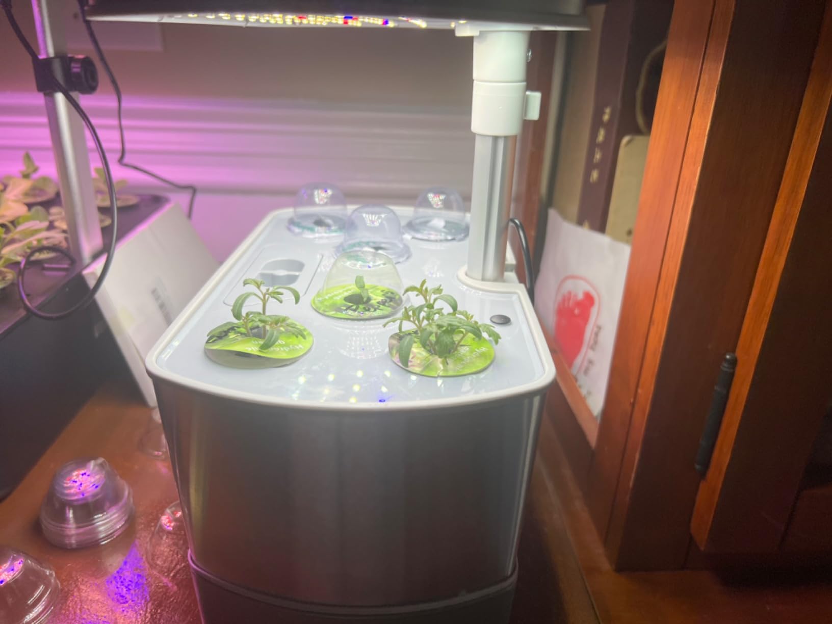 AeroGarden Harvest Elite, Stainless Steel | Indoor Garden with LED Grow Light customer photo 2