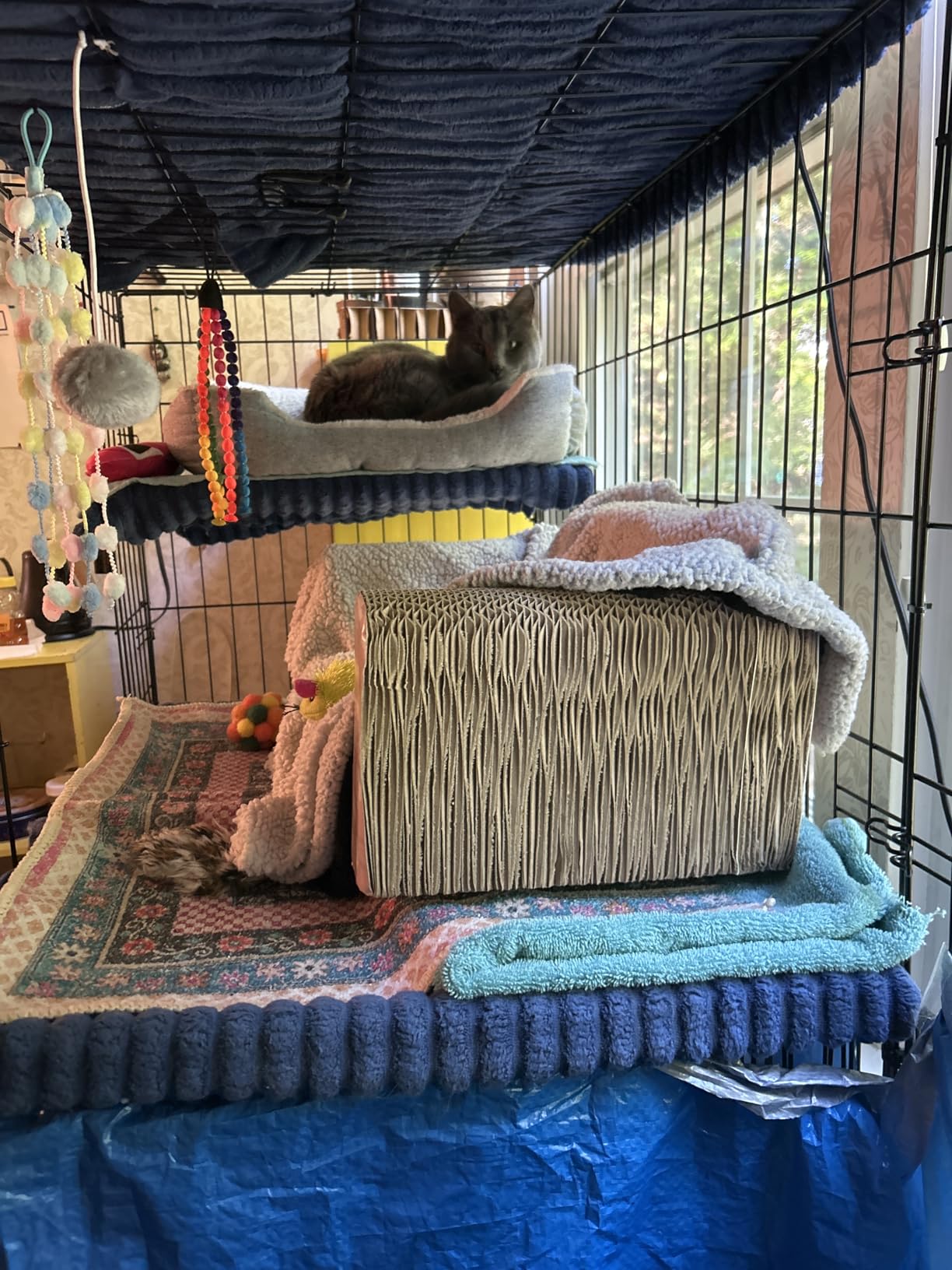 Amazon Basics Large 3-Tier Cat Cage Playpen with Easy to Clean Removable Tray, Front Doors, Portable, Foldable, 35.8