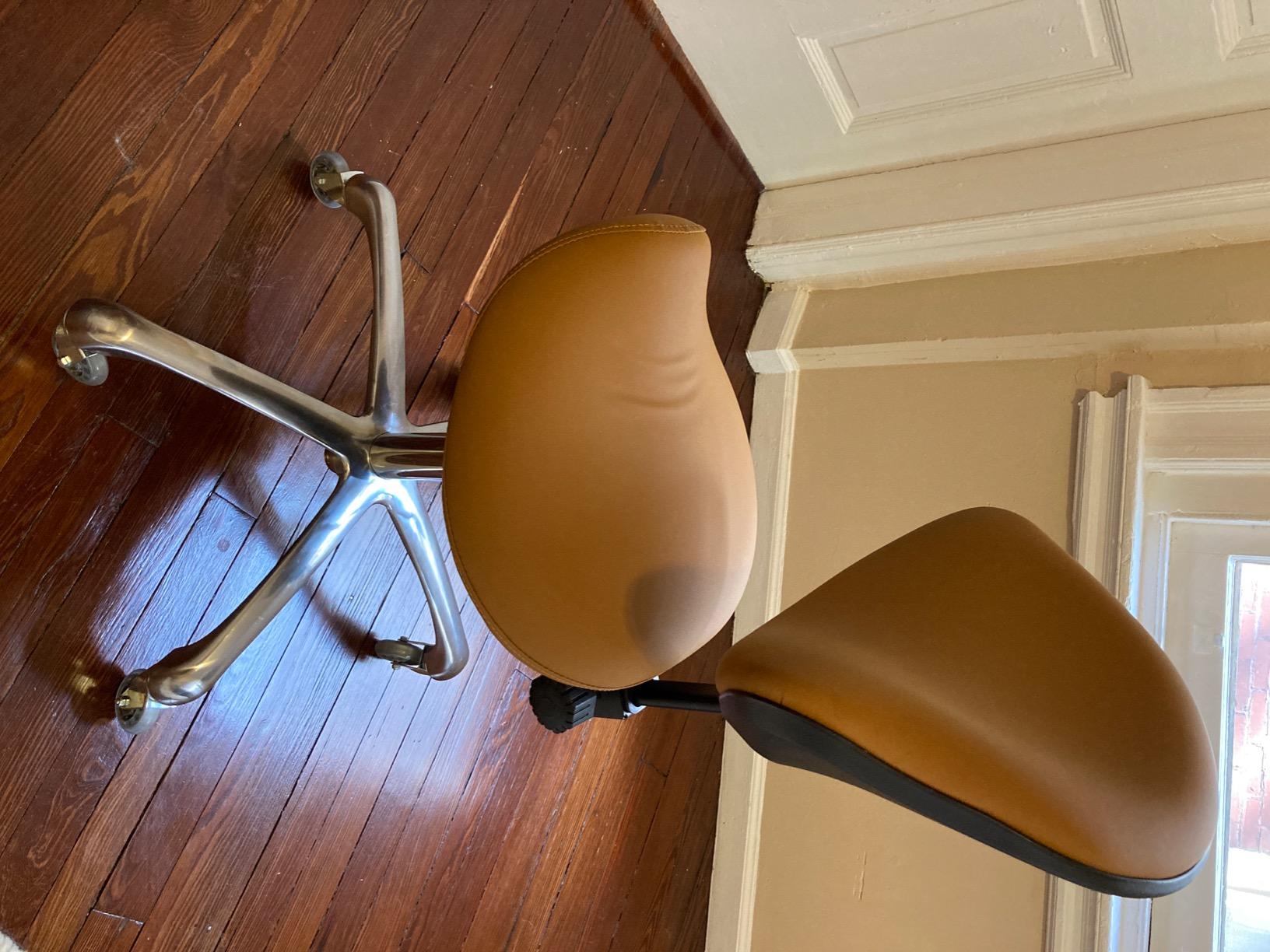 Adjustable Saddle Stool Chairs with Back Support Ergonomic for Medical Clinic Studio Salon Office and Home (Black) customer photo 1