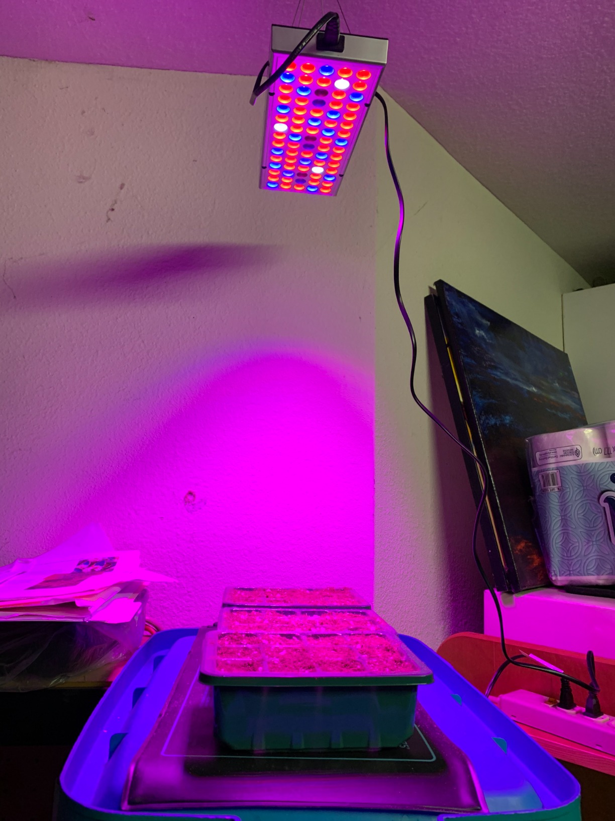 LED Grow Lights for Indoor Plants, Panel Plant Light Full Spectrum with IR & UV Bulbs for Seedlings, Micro Greens, Clones, Succulents (Size:9.9x9.9inches) customer photo 2