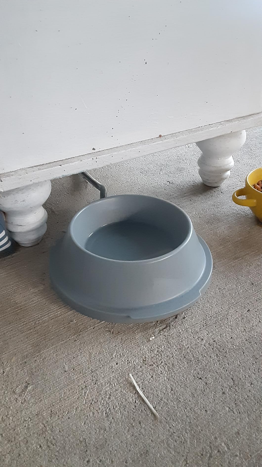 K&H Heated Water Bowl, Thermal-Bowl for Cats & Dogs, Safety Listed, 25W | Outdoor Water Stays Unfrozen In Winter. Outdoor Heated Dog Dish for Pets, Automatic No Freeze, Anti Chew Cord, 96 Ounces Blue customer photo 1