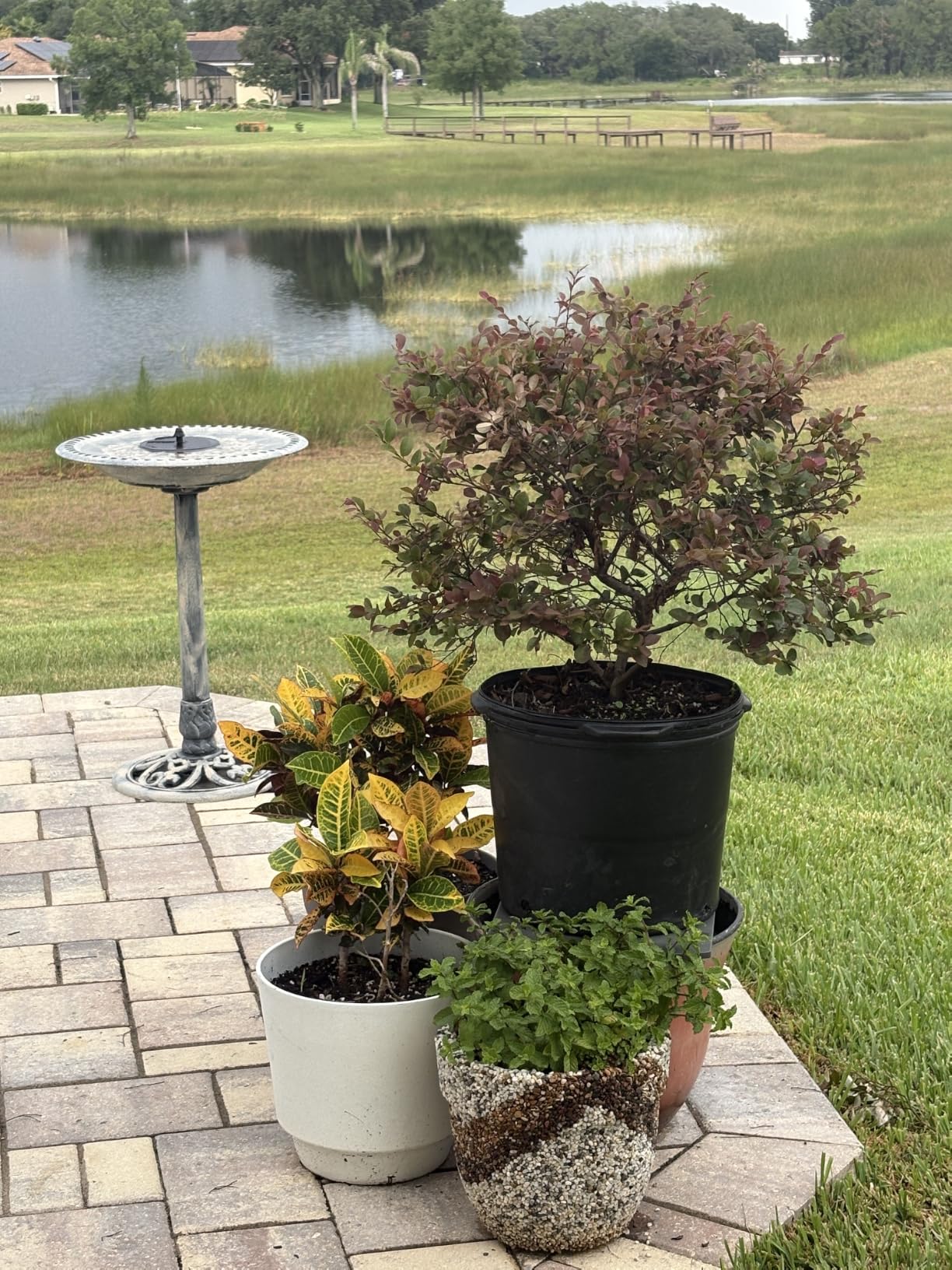 VIVOHOME Bird Bath with Solar Fountain for Outside, Pedestal, Green | Solar-Powered Pump, Weather-Resistant Polyresin, 20-Inch Bowl, for Outdoor/Garden, Bird-Friendly, Easy to Clean customer photo 1