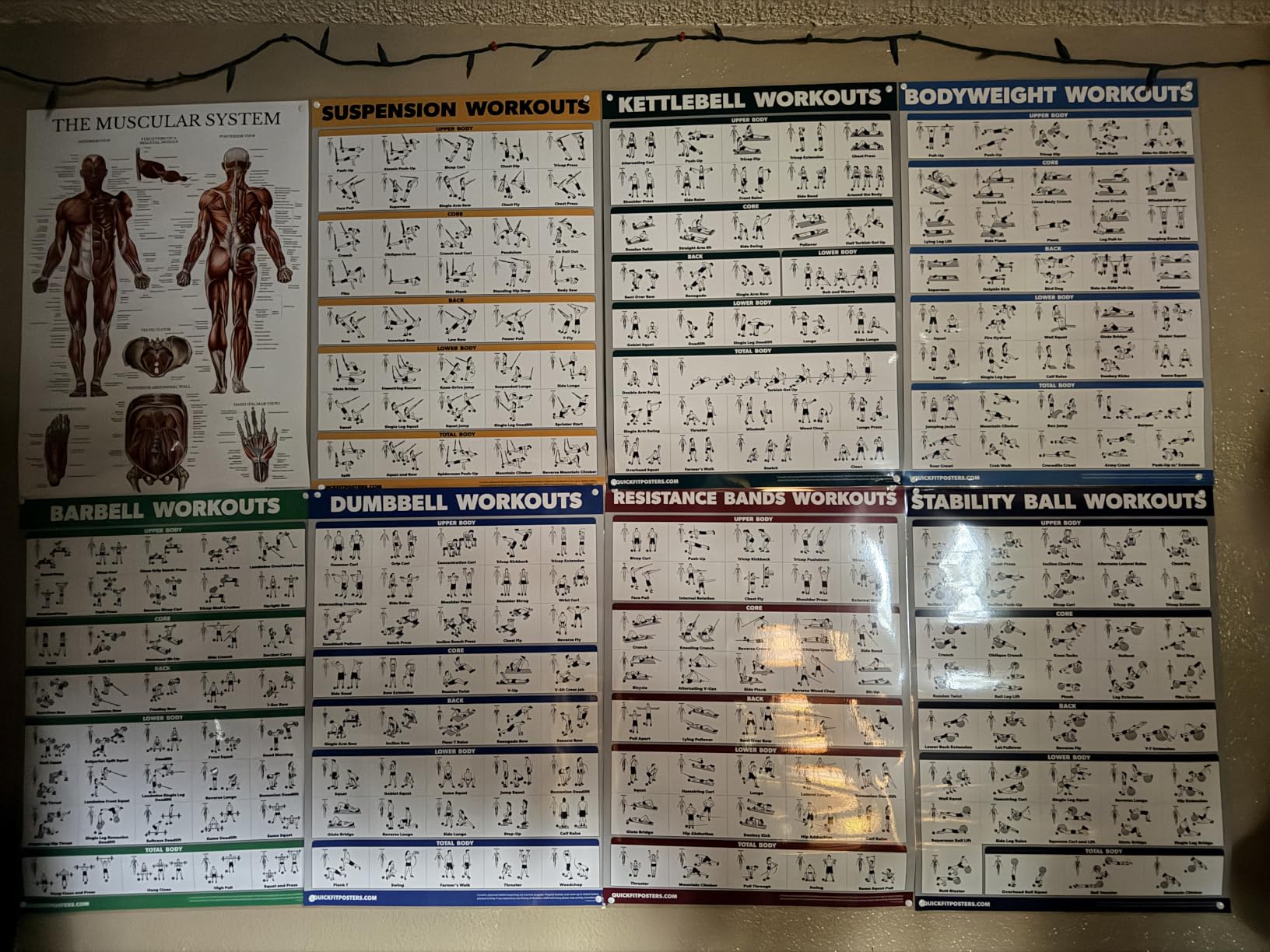 10 Pack - Exercise Workout Poster Set - Dumbbell, Suspension, Kettlebell, Resistance Bands, Stretching, Bodyweight, Barbell, Yoga Poses, Exercise Ball, Muscular System Chart (LAMINATED,18