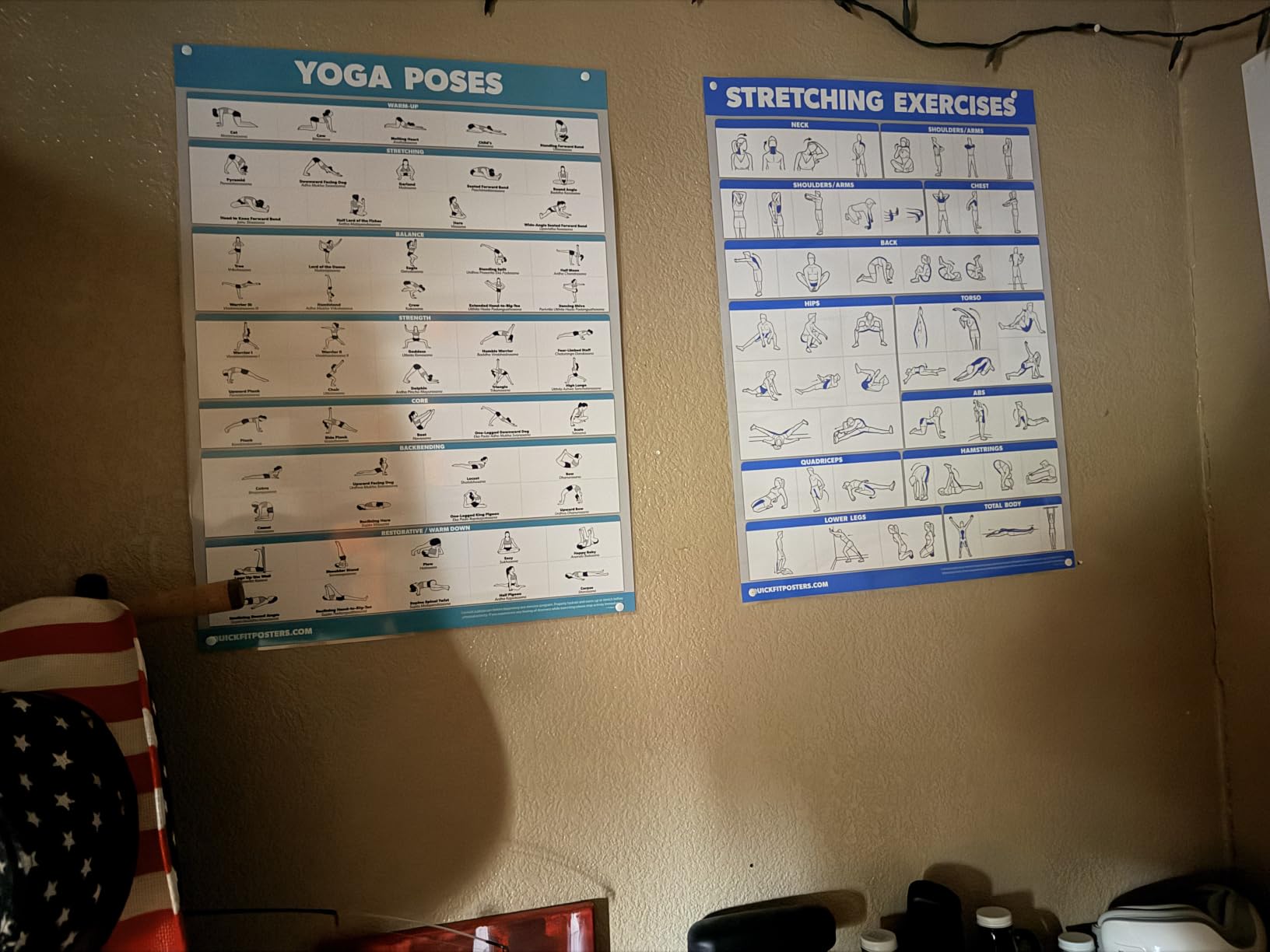 10 Pack - Exercise Workout Poster Set - Dumbbell, Suspension, Kettlebell, Resistance Bands, Stretching, Bodyweight, Barbell, Yoga Poses, Exercise Ball, Muscular System Chart (LAMINATED,18