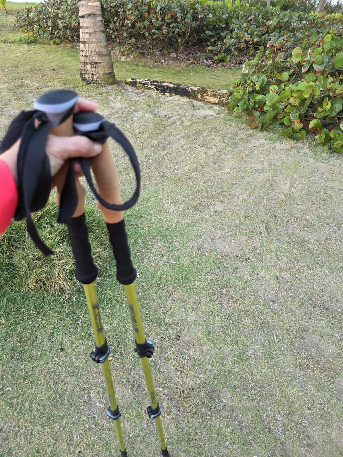Foxelli Trekking Poles - Lightweight Collapsible Aircraft Grade Aluminum Hiking Poles with Cork Grips Quick Locks & All-Terrain Accessories - Pair of 2 customer photo 1