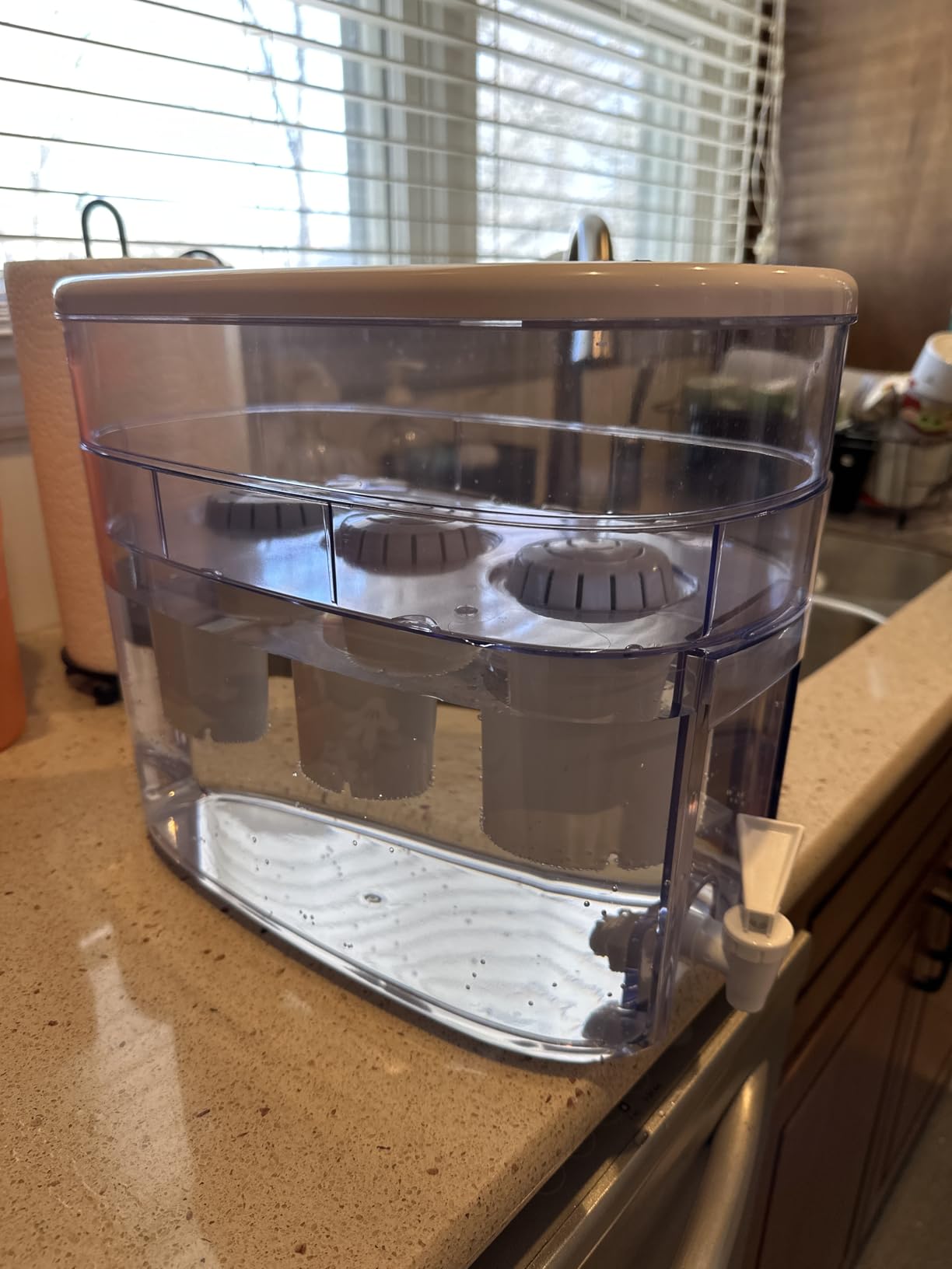 Invigorated Water - Alkaline Countertop Water Filter Dispenser, Large Cup Capacity, Mineralized Alkaline Water, BPA-Free, 96 Gallons/Filter (White, 3 Filters Included) customer photo 2
