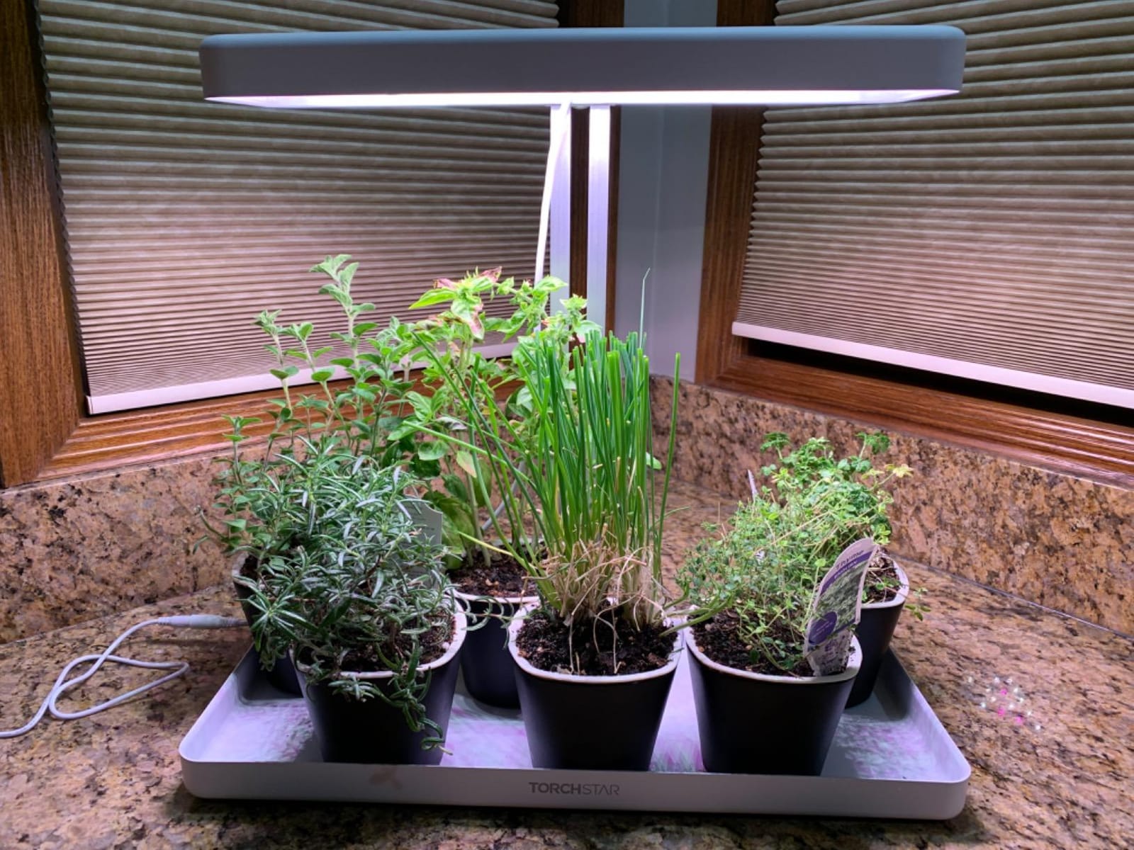 TORCHSTAR Indoor Herb Garden with LED Grow Light, Height Adjustable, CRI 95 | 20W Growing System with Automatic Timer, Full Spectrum Plant Light for Seeds, Vegetation, Home, White, No Pots or Plants customer photo 1