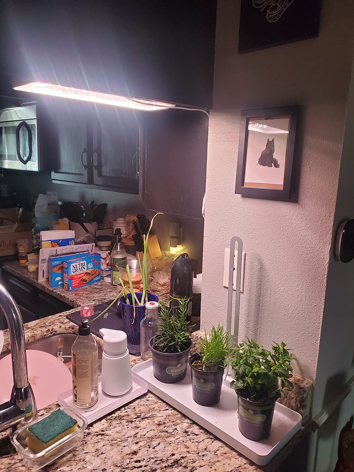 TORCHSTAR Indoor Herb Garden with LED Grow Light, Height Adjustable, CRI 95 | 20W Growing System with Automatic Timer, Full Spectrum Plant Light for Seeds, Vegetation, Home, White, No Pots or Plants customer photo 2