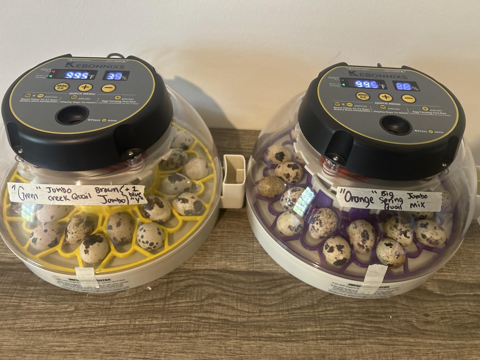 KEBONNIXS 12 Egg Incubator with Humidity Display, Egg Candler, Automatic Egg Turner, for Hatching Chickens customer photo 2