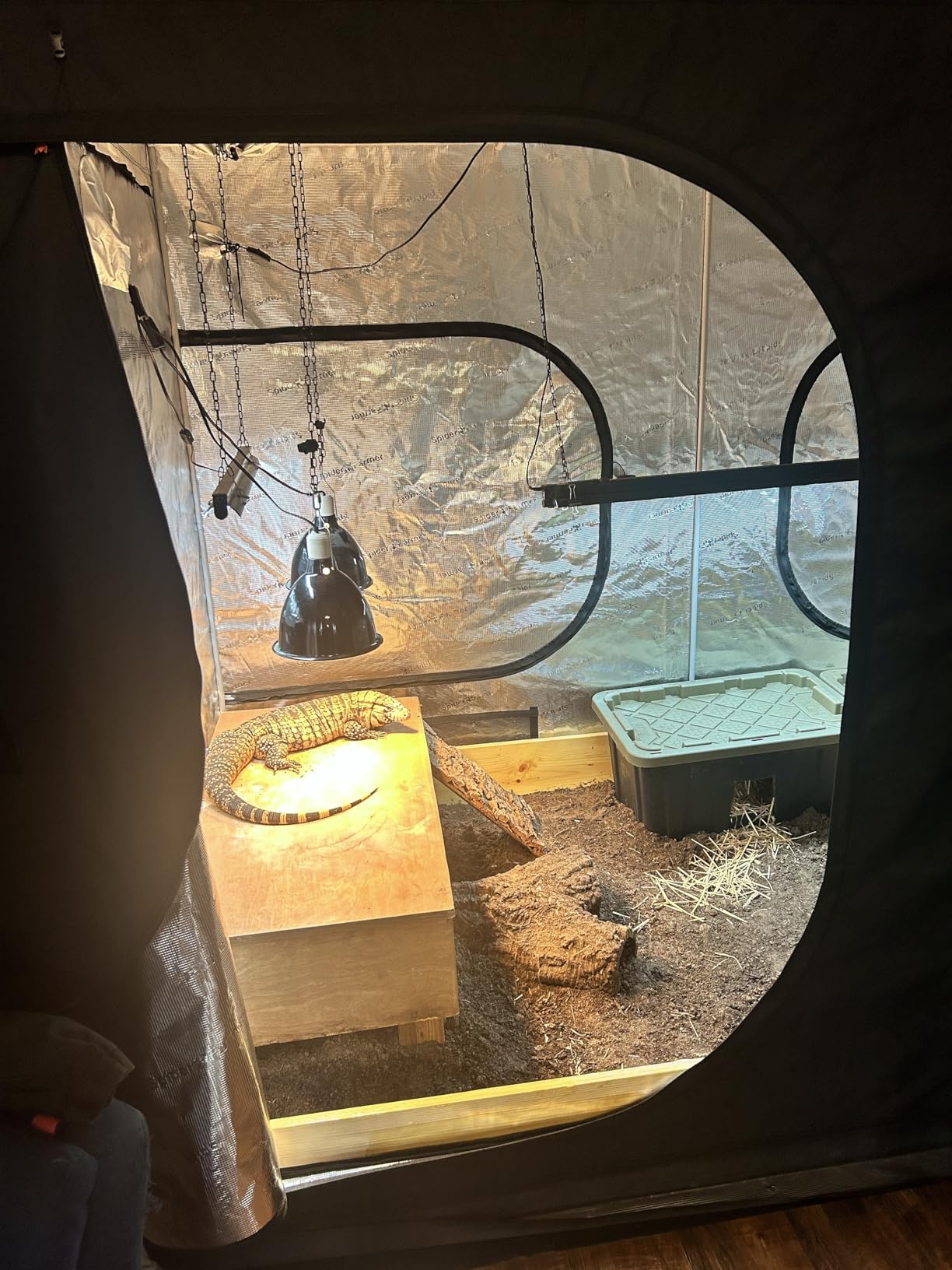 Spider Farmer 4x4 Grow Tent 48