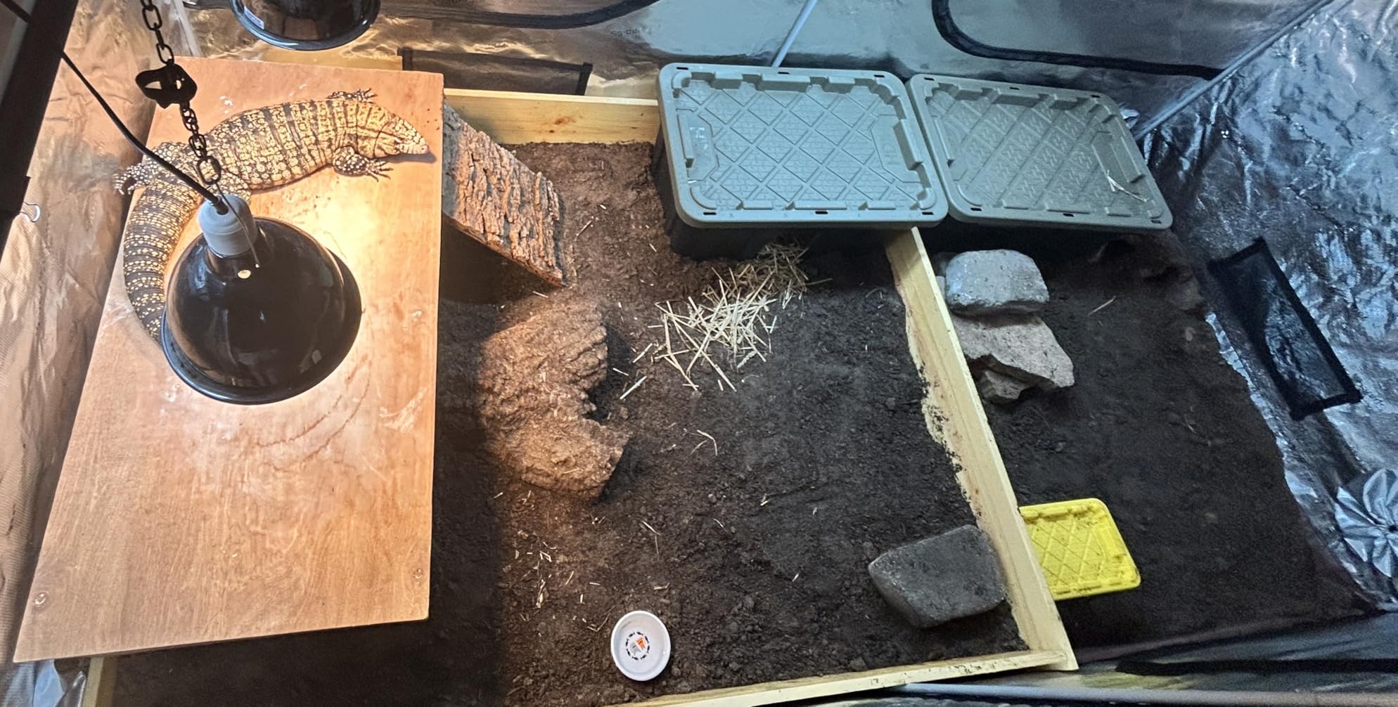 Spider Farmer 3x3 Grow Tent 36
