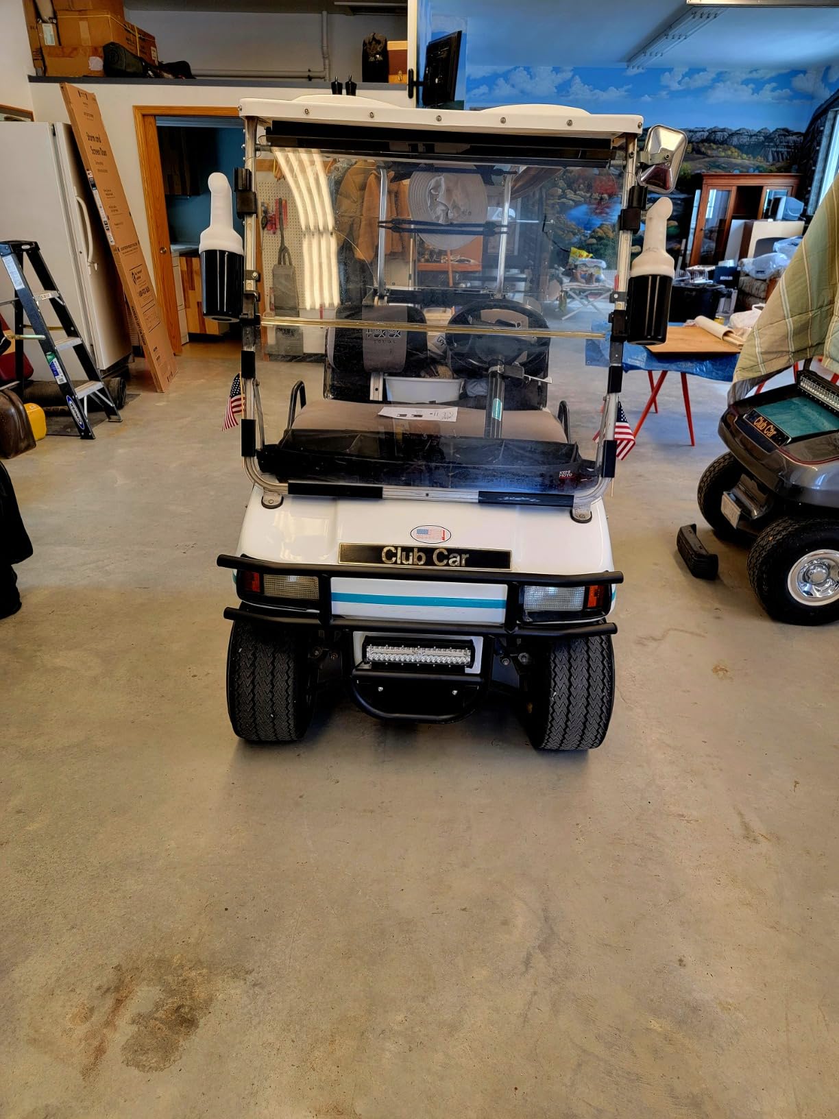 ECOTRIC Front Brush Guard Bumper Compatible with 1981-Up Club Car DS | Compatible with 1981+ Club Car DS Gas and Electric Models, Tubular Front Bumper, Black customer photo 2