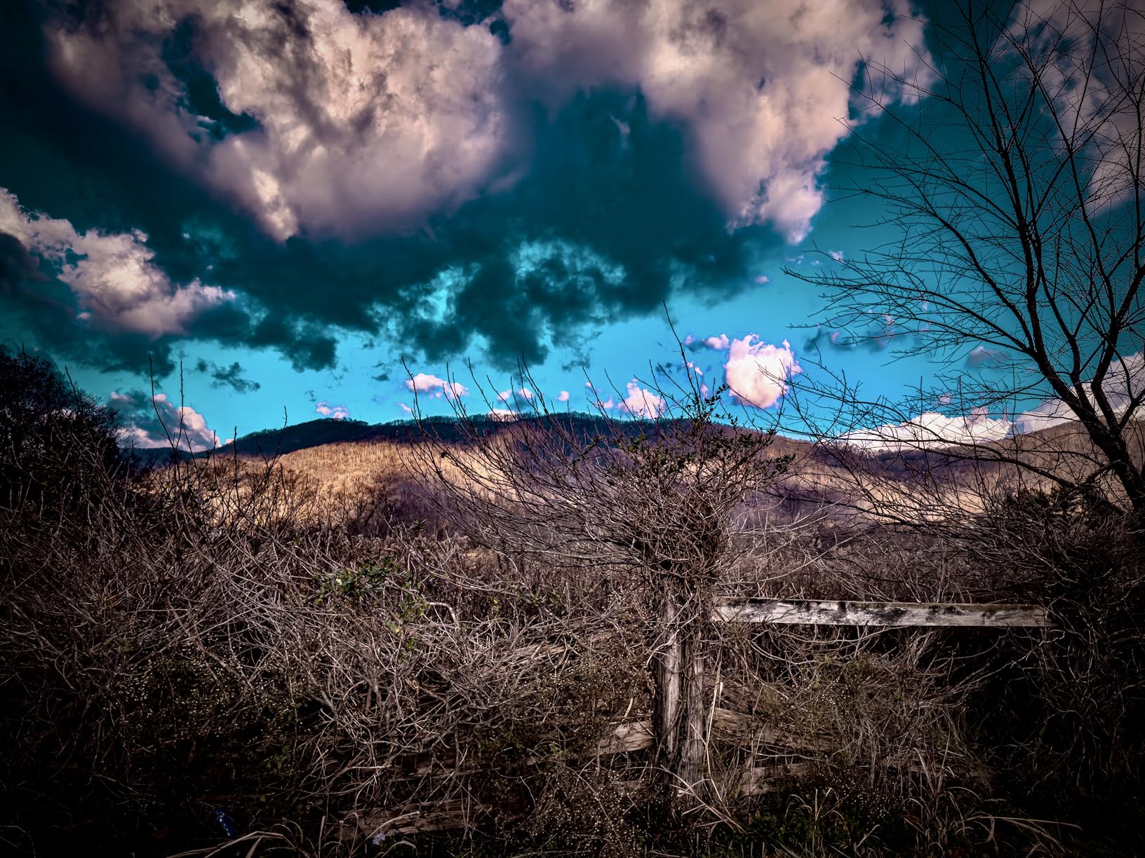 Canon RF24-105mm F4-7.1 is STM [24-105mm / F4-7.1 Canon RF Mount] customer photo 1