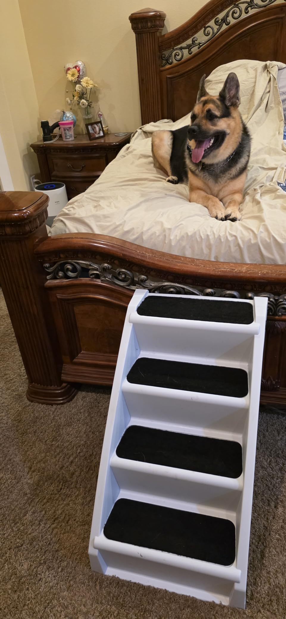 PetSafe CozyUp Folding Dog Stairs, Portable Indoor/Outdoor Pet Steps for Bed & Couch, Grey, 25 Inch customer photo 1