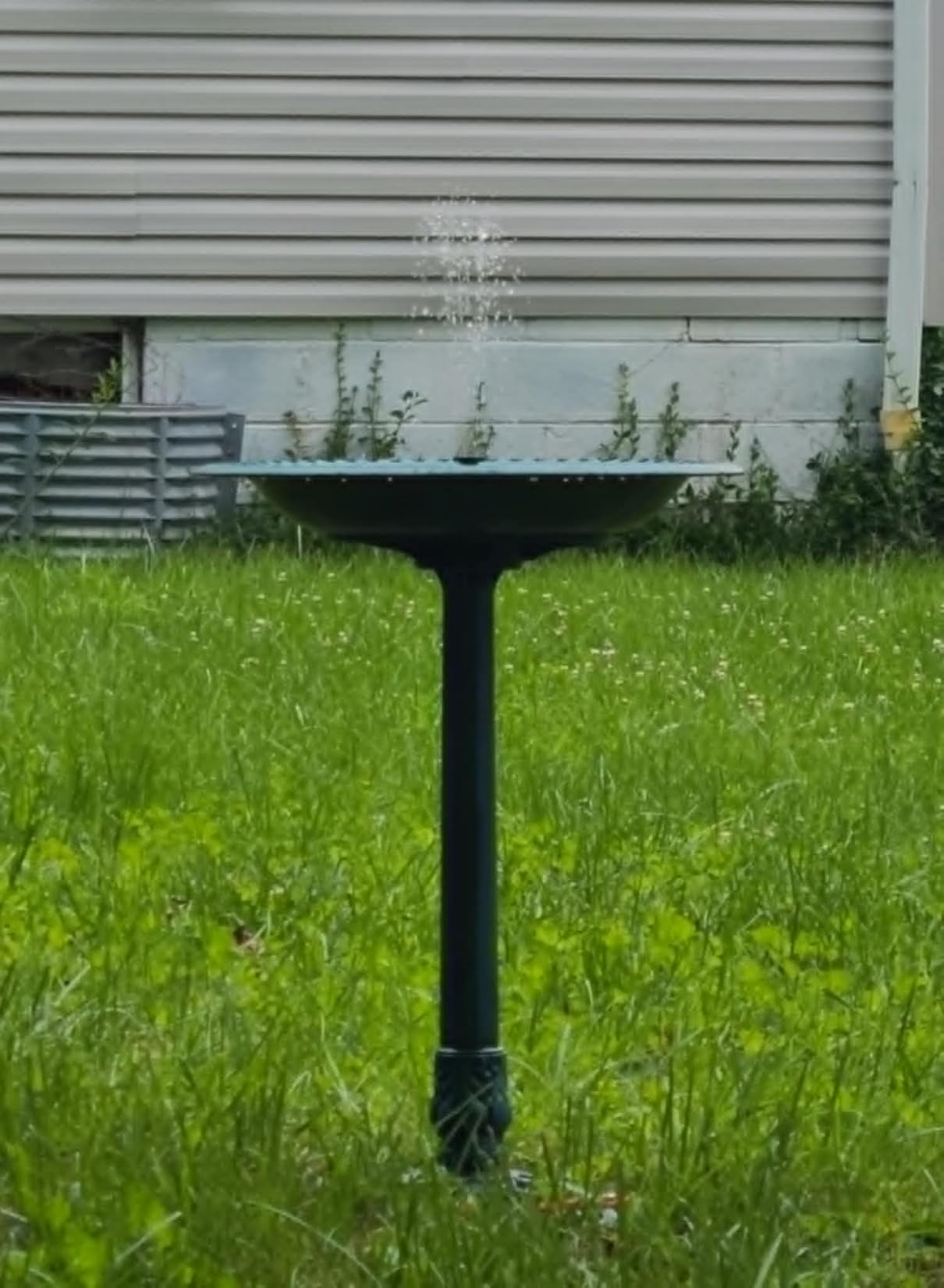 VIVOHOME Bird Bath for Outside, Polyresin Pedestal Birdbath, Gray | Weather-Resistant, 20-Inch Bowl, 28-Inch Height, for Outdoor/Garden, Bird-Friendly, Easy to Clean customer photo 2