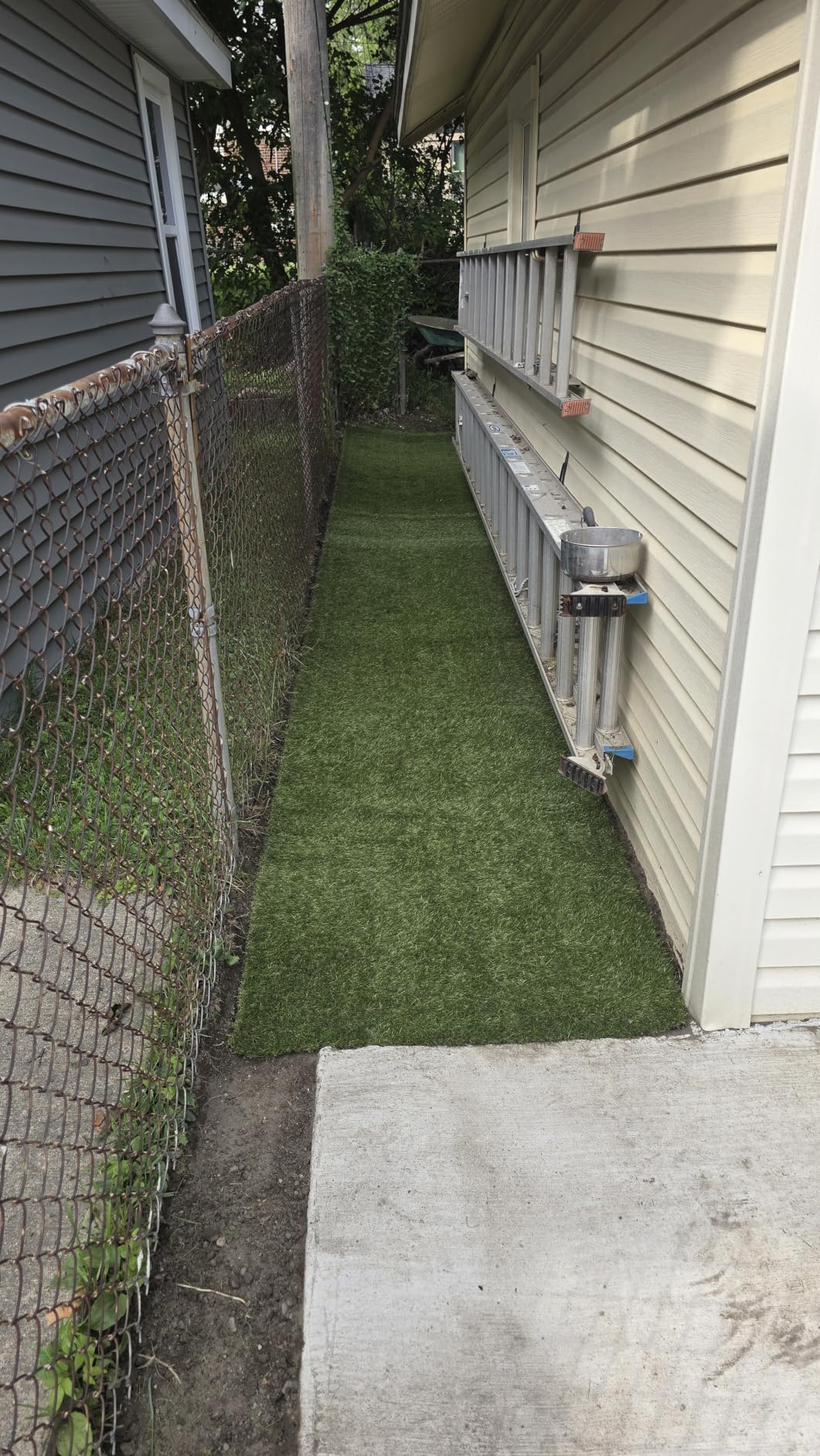 Realistic Deluxe Artificial Grass Synthetic Thick Lawn Turf Carpet (7 FT x 15 FT (105 Square FT)) customer photo 1