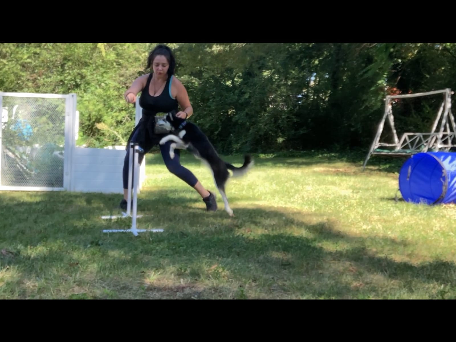 Agility Course Backyard Set - 7pc Indoor and Outdoor, 3 Jumps, 2 Tunnels with Sandbags, Weave Poles, Dog Agility Training Equipment customer photo 1
