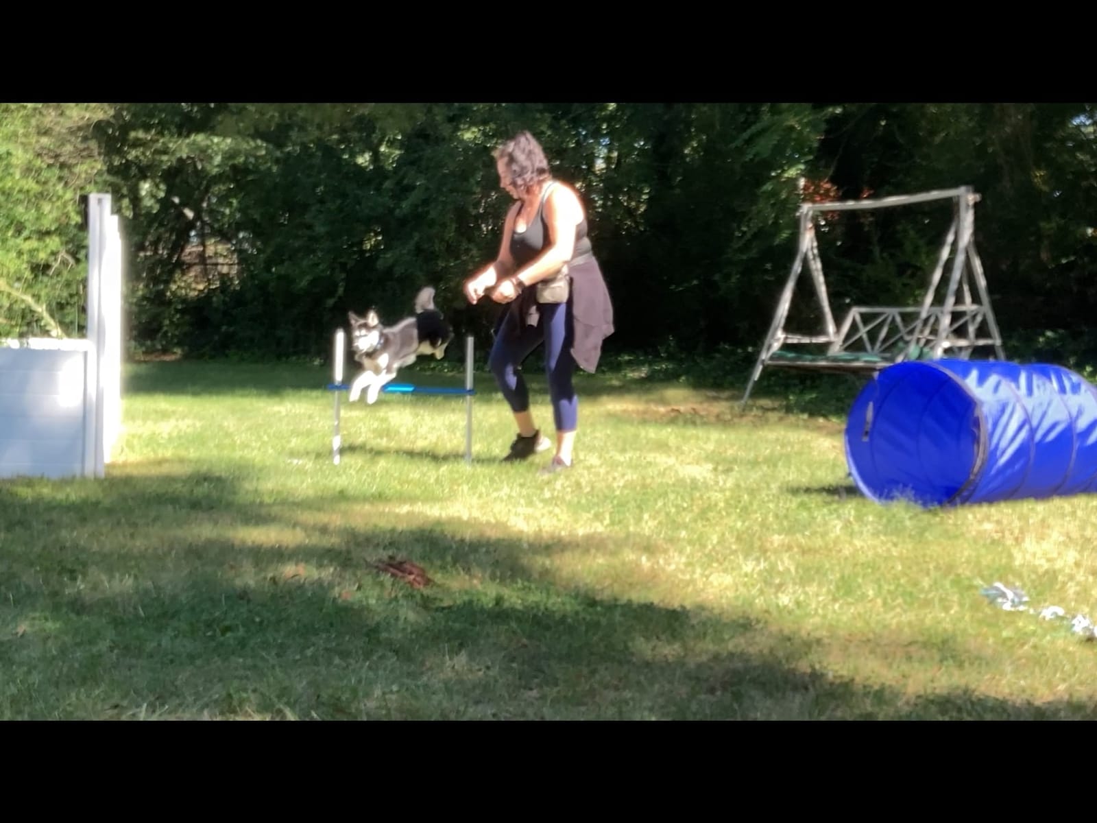 Agility Course Backyard Set - 7pc Indoor and Outdoor, 3 Jumps, 2 Tunnels with Sandbags, Weave Poles, Dog Agility Training Equipment customer photo 2