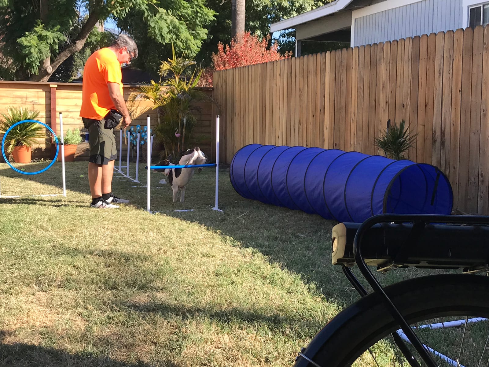 Complete Starter Agility Set for Dogs, 5 Piece - Agility Jump, Tire Jump, Weave Poles, 10' Tunnel with Sandbags, Pause Box customer photo 1