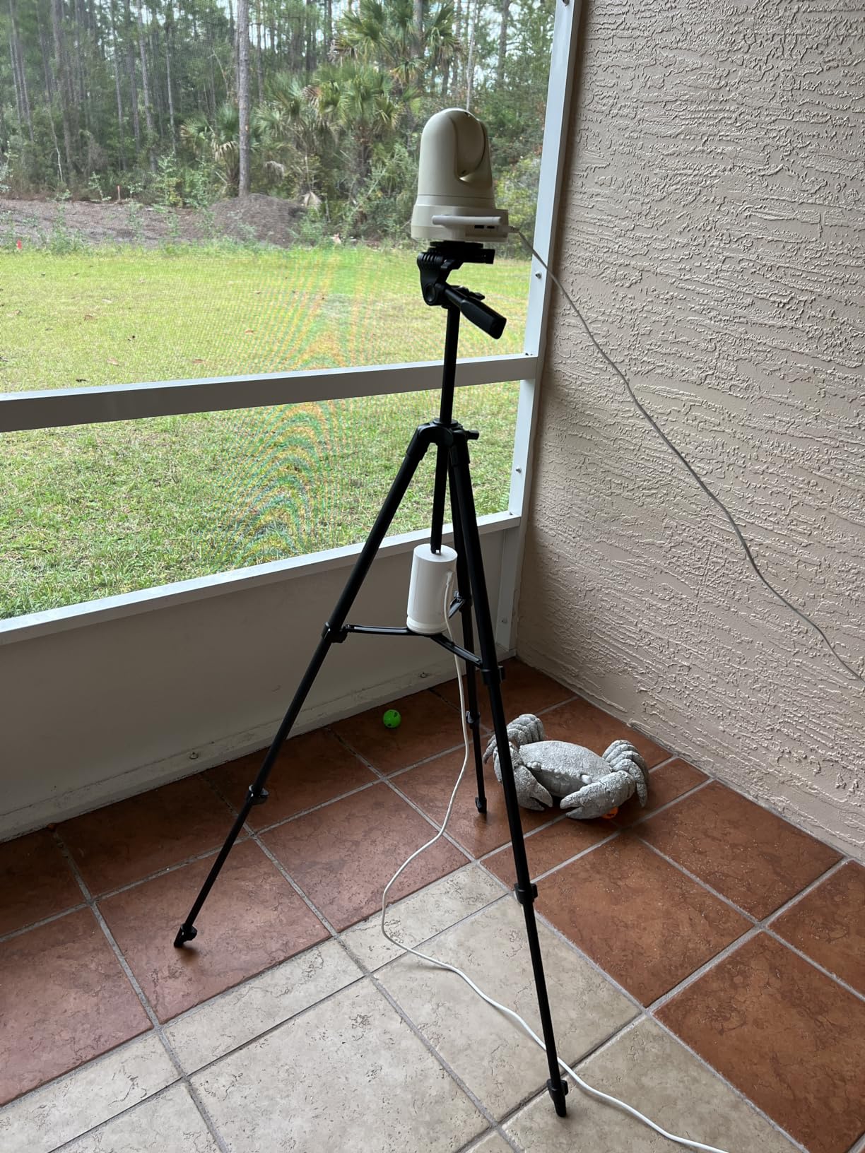 Endurax 60'' Camera Tripod Camera Stand for Canon Rebel Eos Nikon DSLR, Travel Tripods for Phone Tablet with Remote Black | 3-Way Pan Head, Quick-Release Plate & Bubble Level customer photo 2