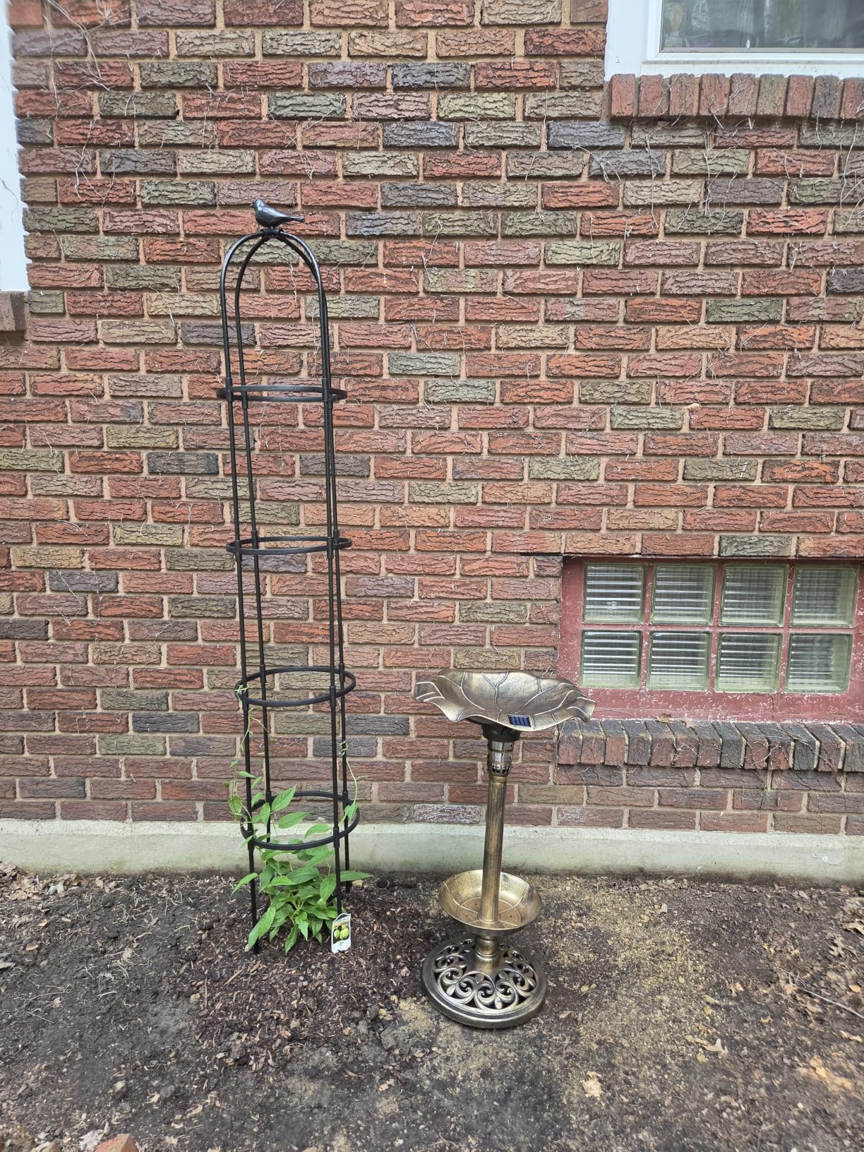 Best Choice Products Outdoor Solar Lighted Pedestal Bird Bath Fountain customer photo 2
