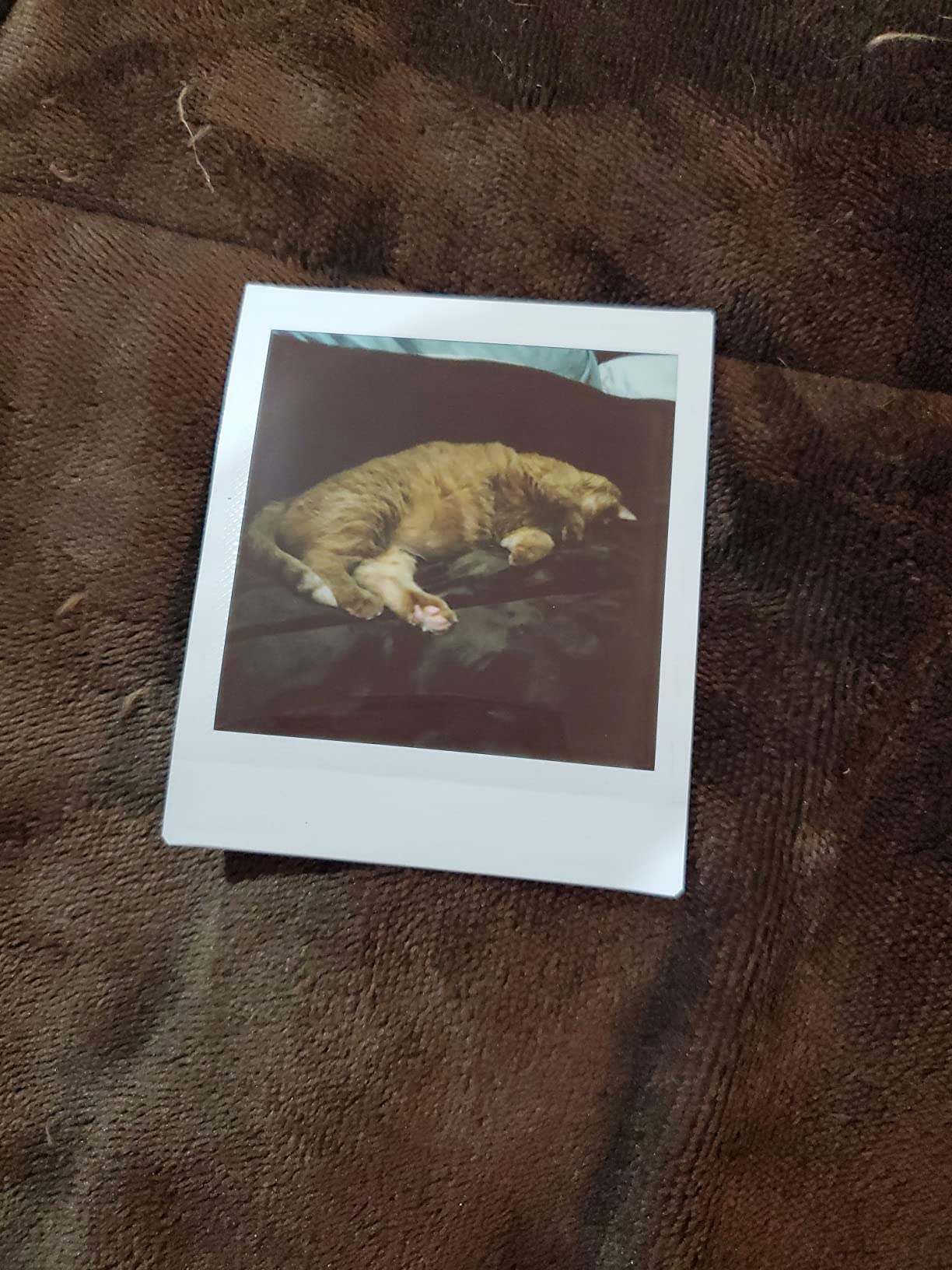 FUJIFILM Instax Square SQ1 Instant Camera - Glacier Blue customer photo 1