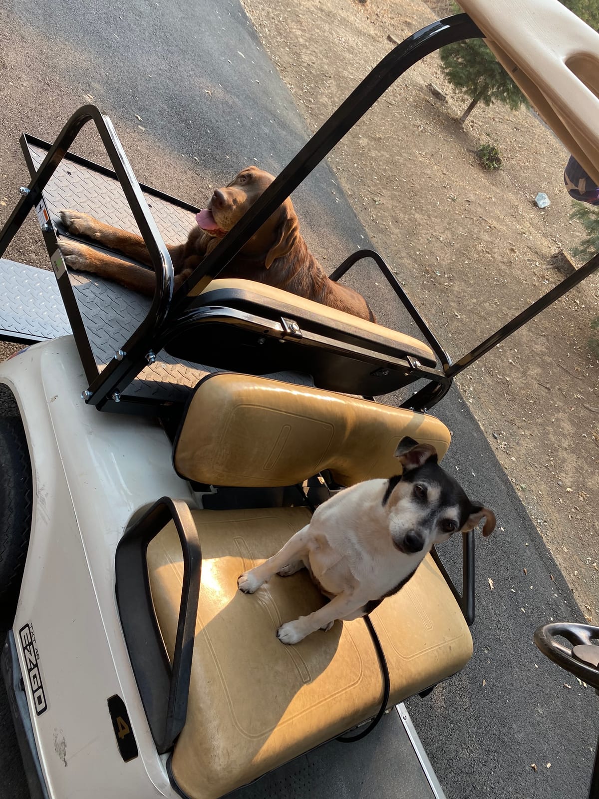EZGO TXT / Valor (95-Up) Golf Cart Rear Flip Seat Kit with Steel Frame customer photo 1