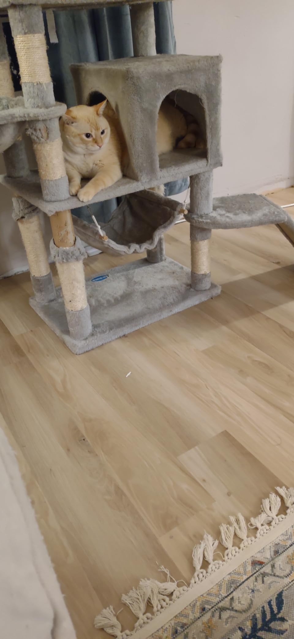 LUCiDA SURFACES Luxury Vinyl Flooring Tiles-Peel and Stick Floor Tile for DIY Installation-36 Wood-Look Planks-Honey-BaseCore-54 Sq. Feet customer photo 1