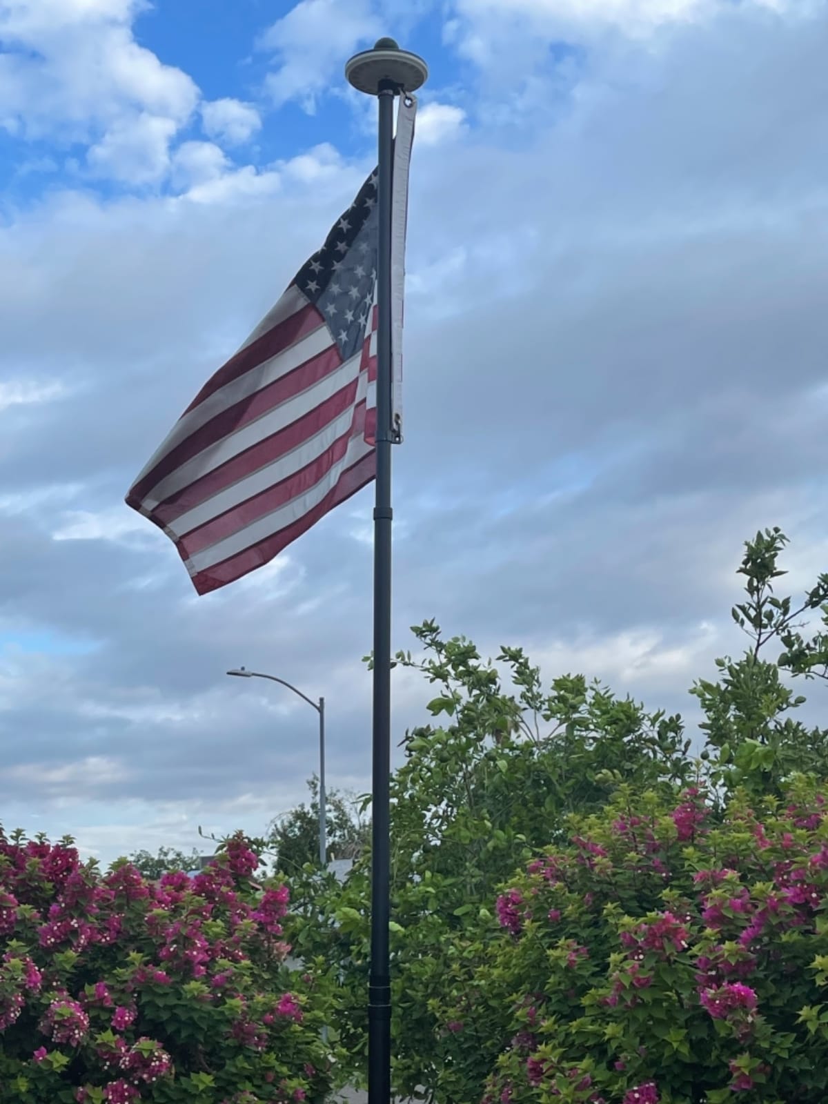 20 FT Telescoping Flag Pole, Heavy Duty Aerospace Aluminum Flagpole Kit | 45K PSI & 95 HBW Hard Flag pole for Outside House, Unbending Telescopic Outdoor In-Ground Flag Poles for Yard customer photo 1