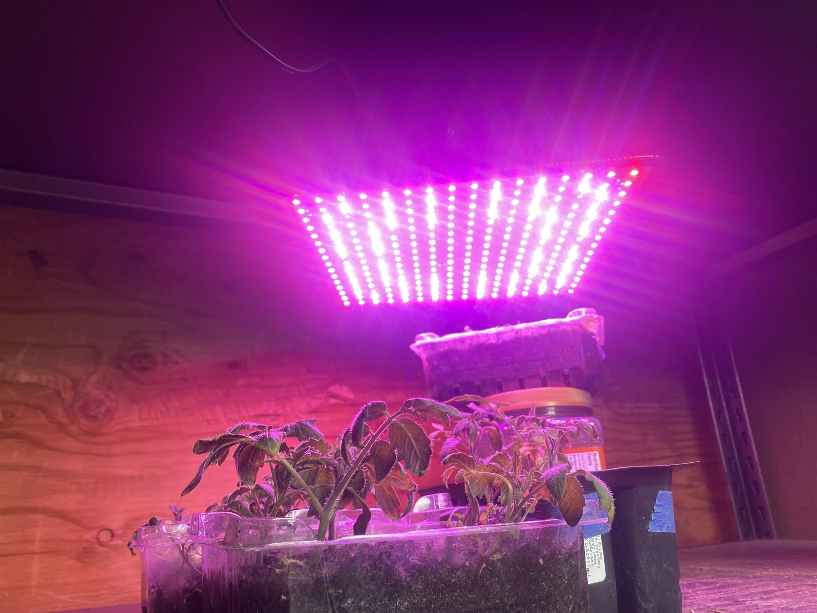 2 Pack LED Grow Light Panel 200W customer photo 2