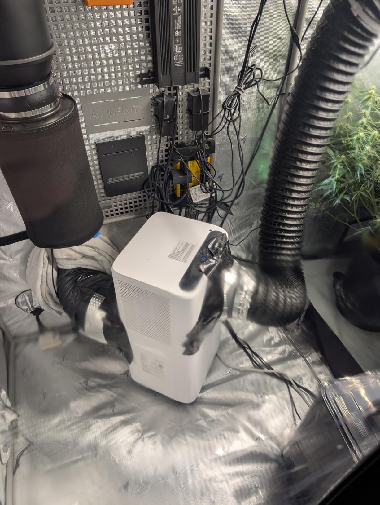 AC Infinity CLOUDLAB 894, Advance Grow Tent 8x4, 96