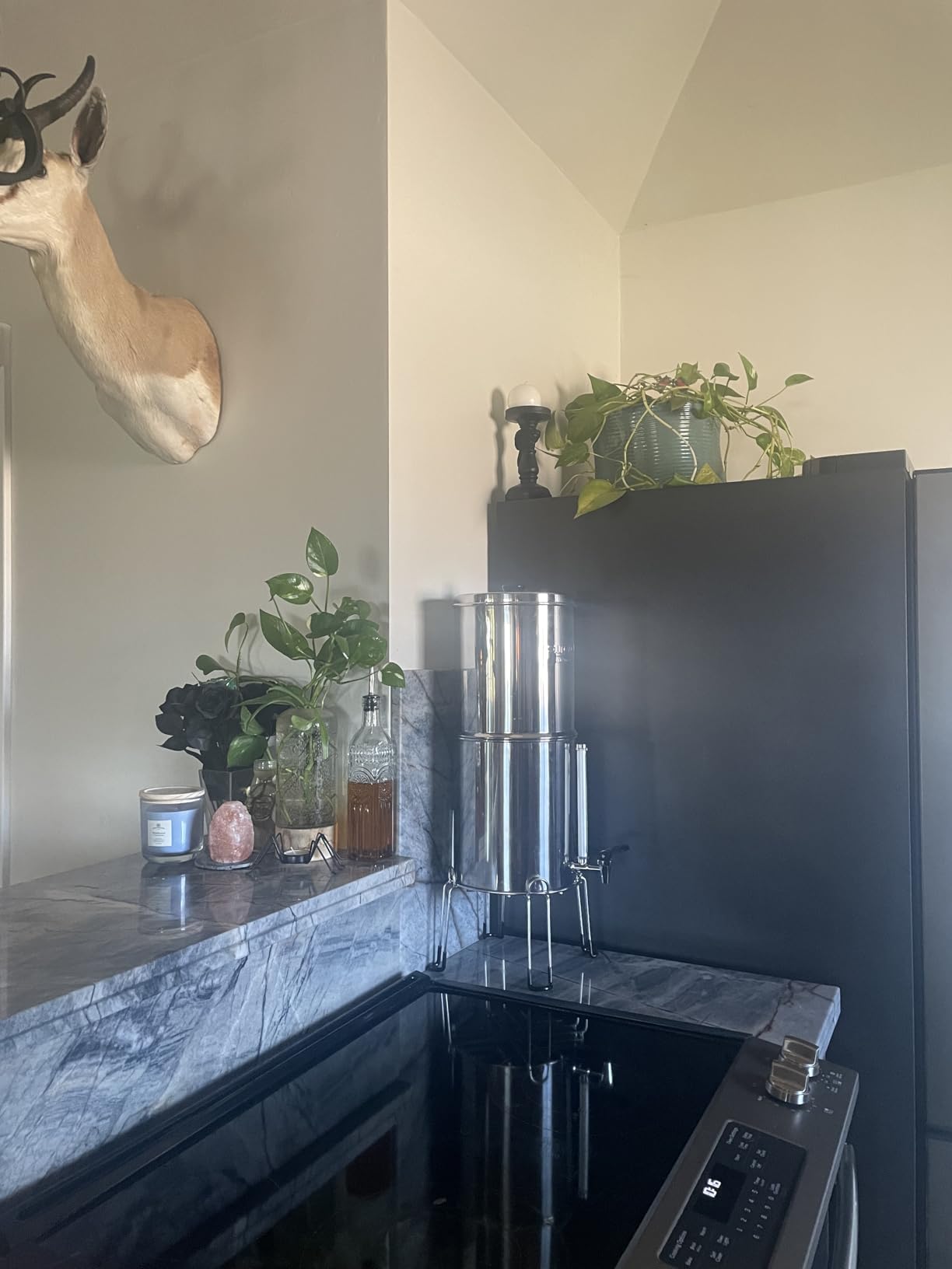 Purewell 3-Stage 0.01 Micron Ultra-Filtration Gravity Water Filter System, NSF/ANSI 42&372 Certification, 304 Stainless Steel Countertop System with 2 Filters and Stand, Reduce 99% Chlorine, 2.25G, PW-OB customer photo 1