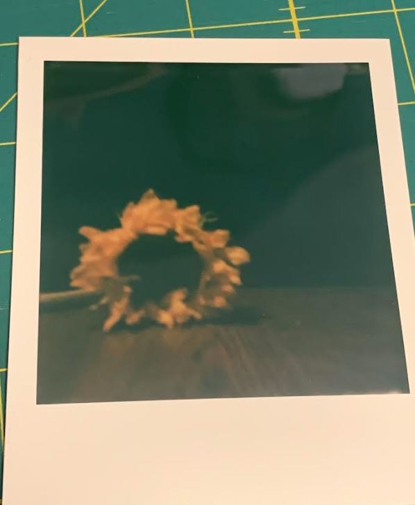 Polaroid Now+ Blue Gray (9063) - Bluetooth Connected I-Type Instant Film Camera with Bonus Lens Filter Set customer photo 1