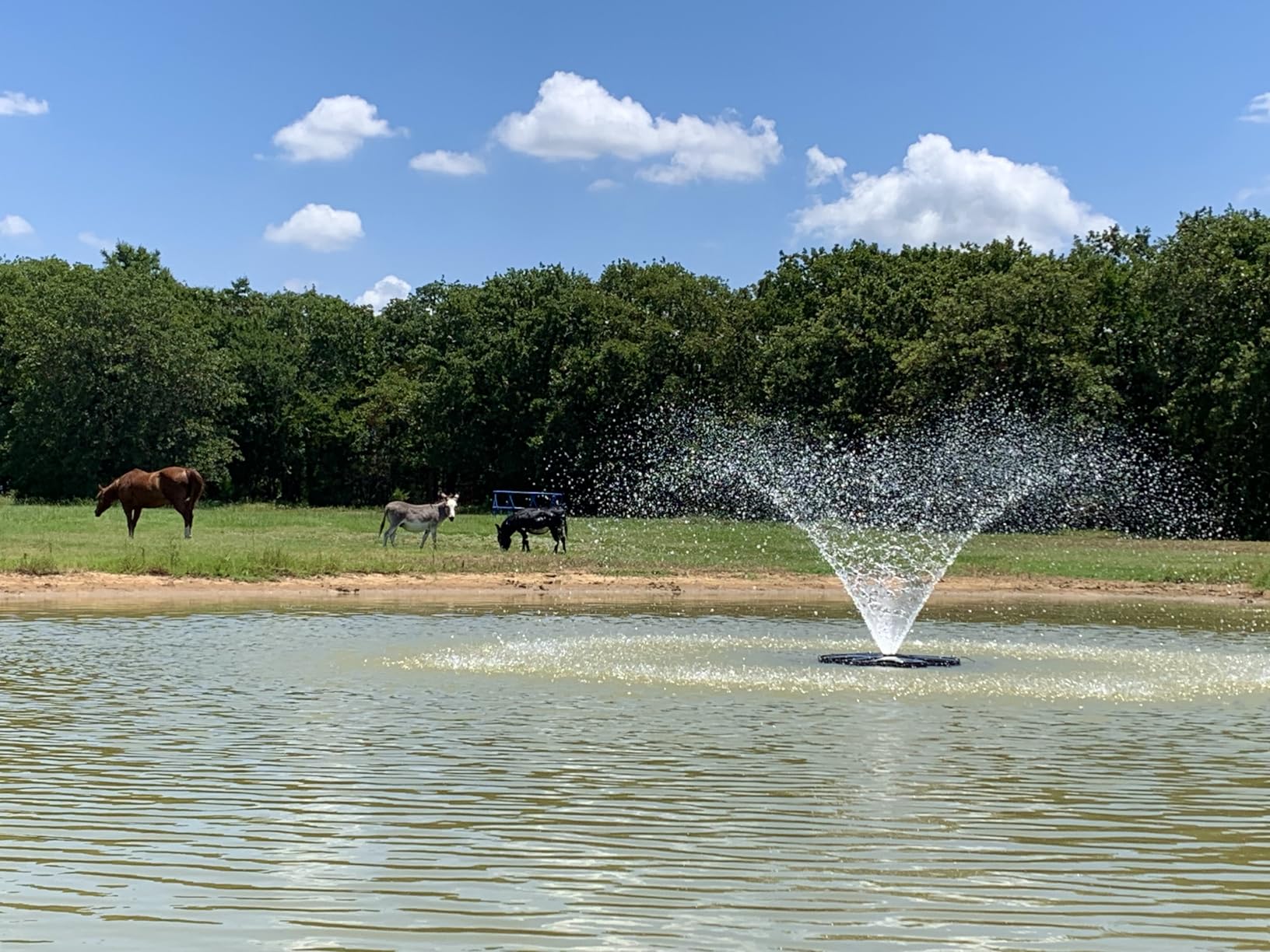 FS02 110V, 1/2 HP Large Pond Floating Fountain, Oil Free Pump 9000 GPH with 100' Cord, Two Spray Patterns Included customer photo 2