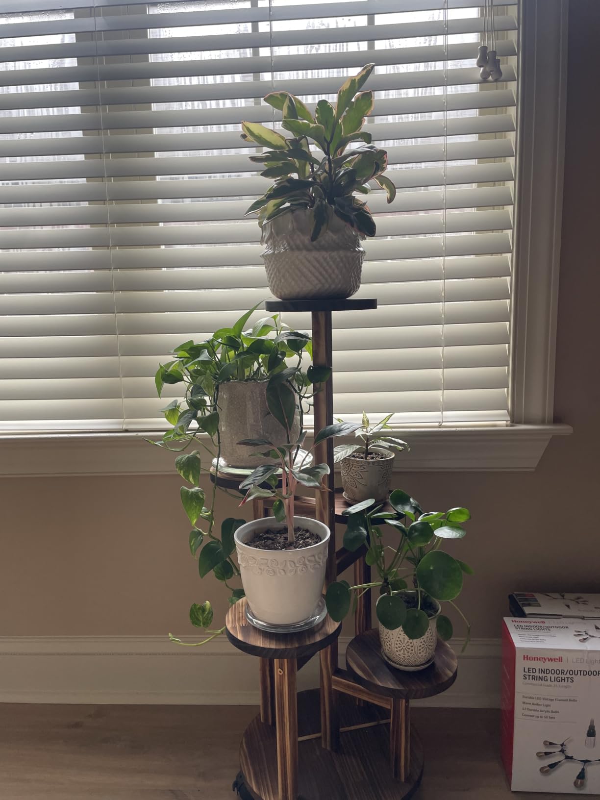 GEEBOBO 5 Tiered Tall Plant Stand for Indoor | Wood Plant Shelf Corner Display Rack, Multi-tier Planter Pot Holder Flower Stand for Living Room Balcony Garden Patio, Brown customer photo 1