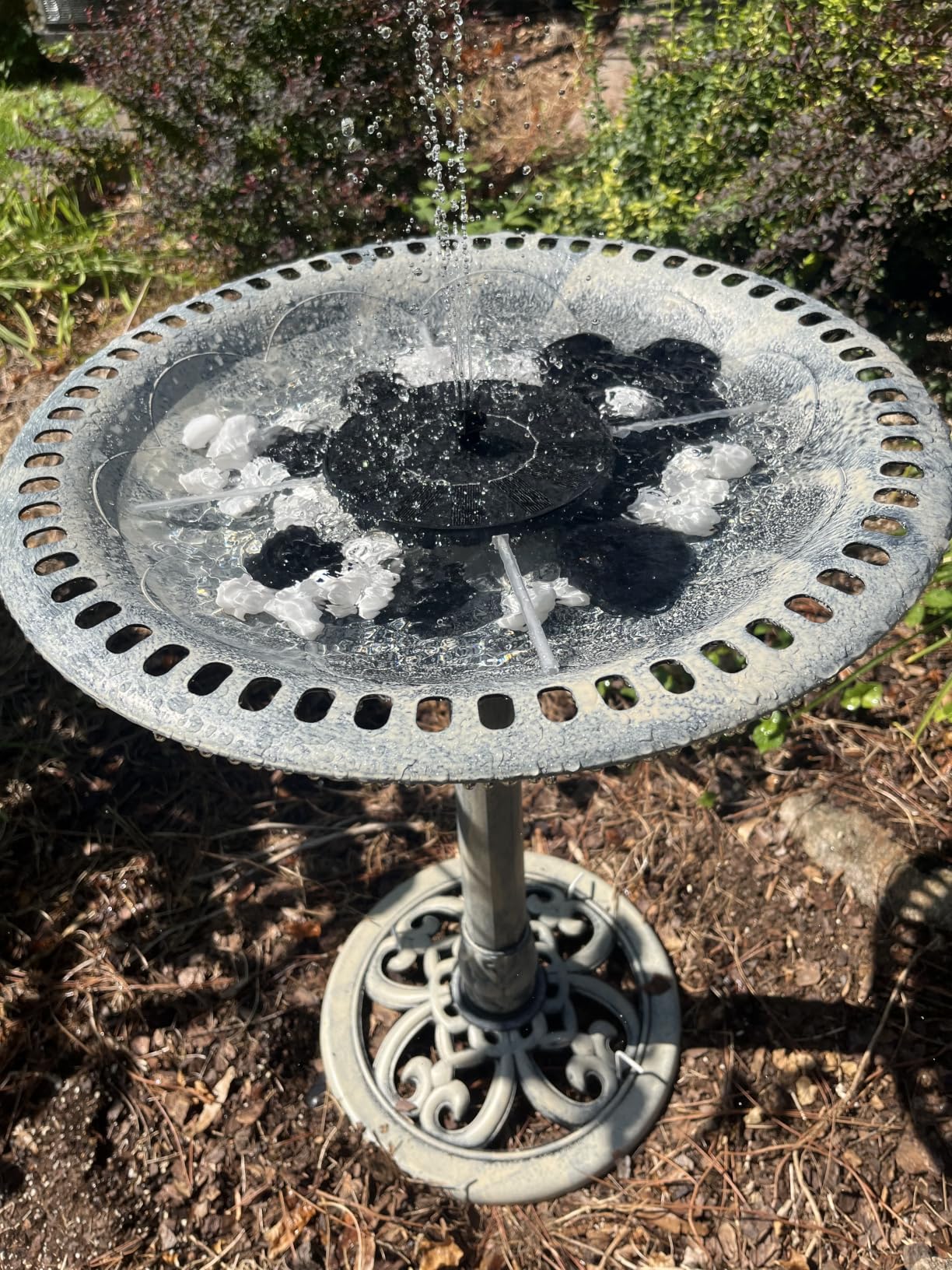 VIVOHOME Bird Bath with Solar Fountain for Outside, Pedestal, Blue | Solar-Powered Pump, Weather-Resistant Polyresin, 20-Inch Bowl, for Outdoor/Garden, Bird-Friendly, Easy to Clean customer photo 2