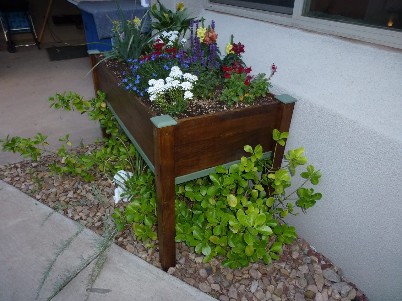 Raised Garden Bed with Legs, 48x24x30 Cedar Wood Elevated Planter Box | Large Growing Capacity, Premium Cedar Wood, Drainage Holes & Liner, Perfect for Outdoor Gardening, Ergonomic Gardening Height customer photo 2