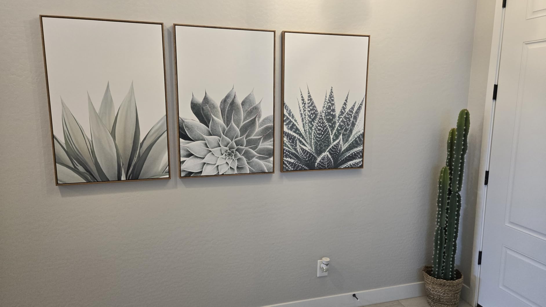 Ashbrook Framed Wall Art Print Set Black & White Southwest Desert Cactus Nature Floral Photography Modern Decorative Multicolor Relax/Calm for Living Room, Bedroom, Office - 16