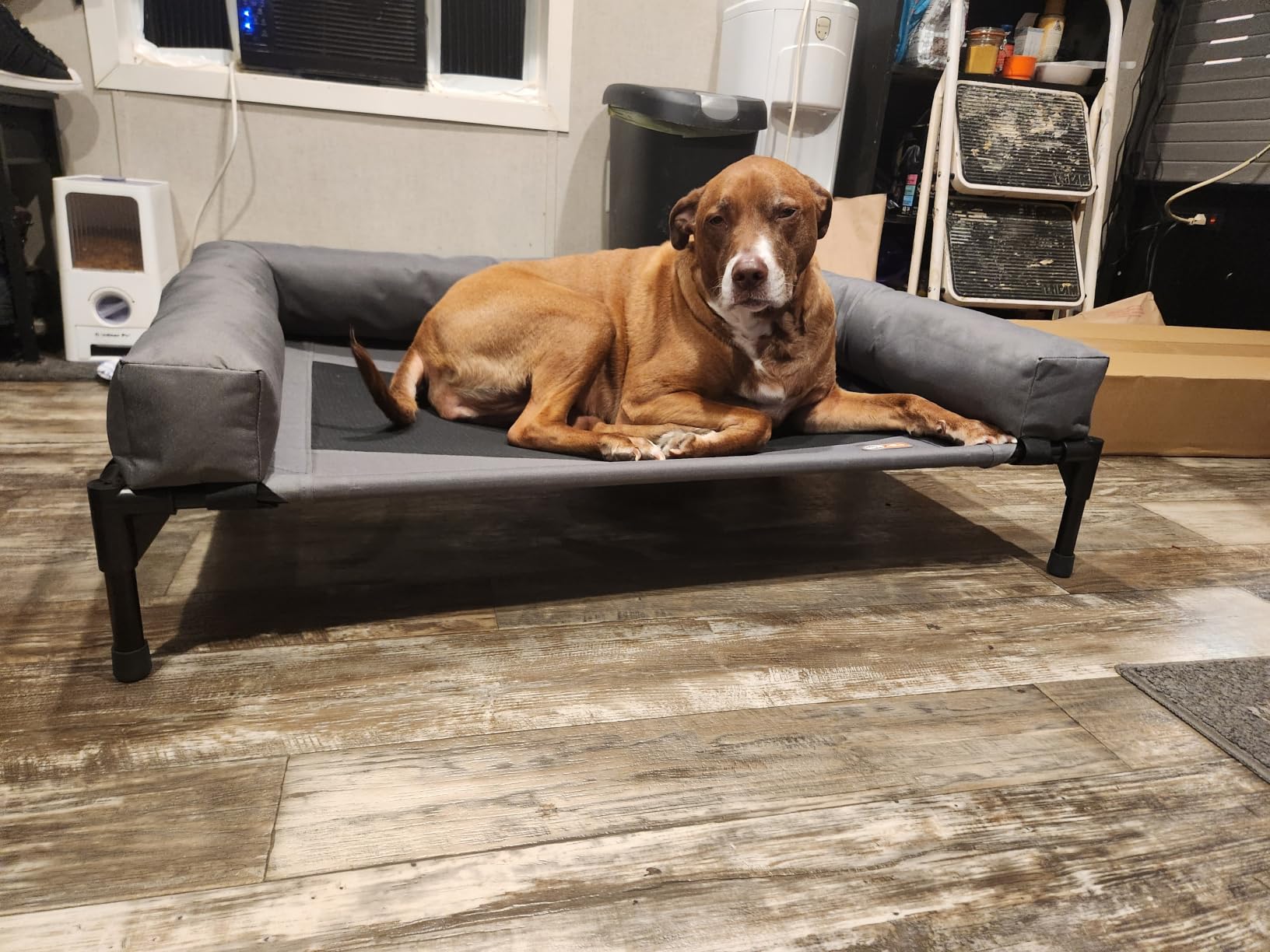 K&H Bolster Dog Cot Cooling Indoor/Outdoor Elevated Dog Bed Hammock with Removable Bolster, Washable Mesh Cover, Raised Camping Bed for Large Pets - Charcoal Large 42