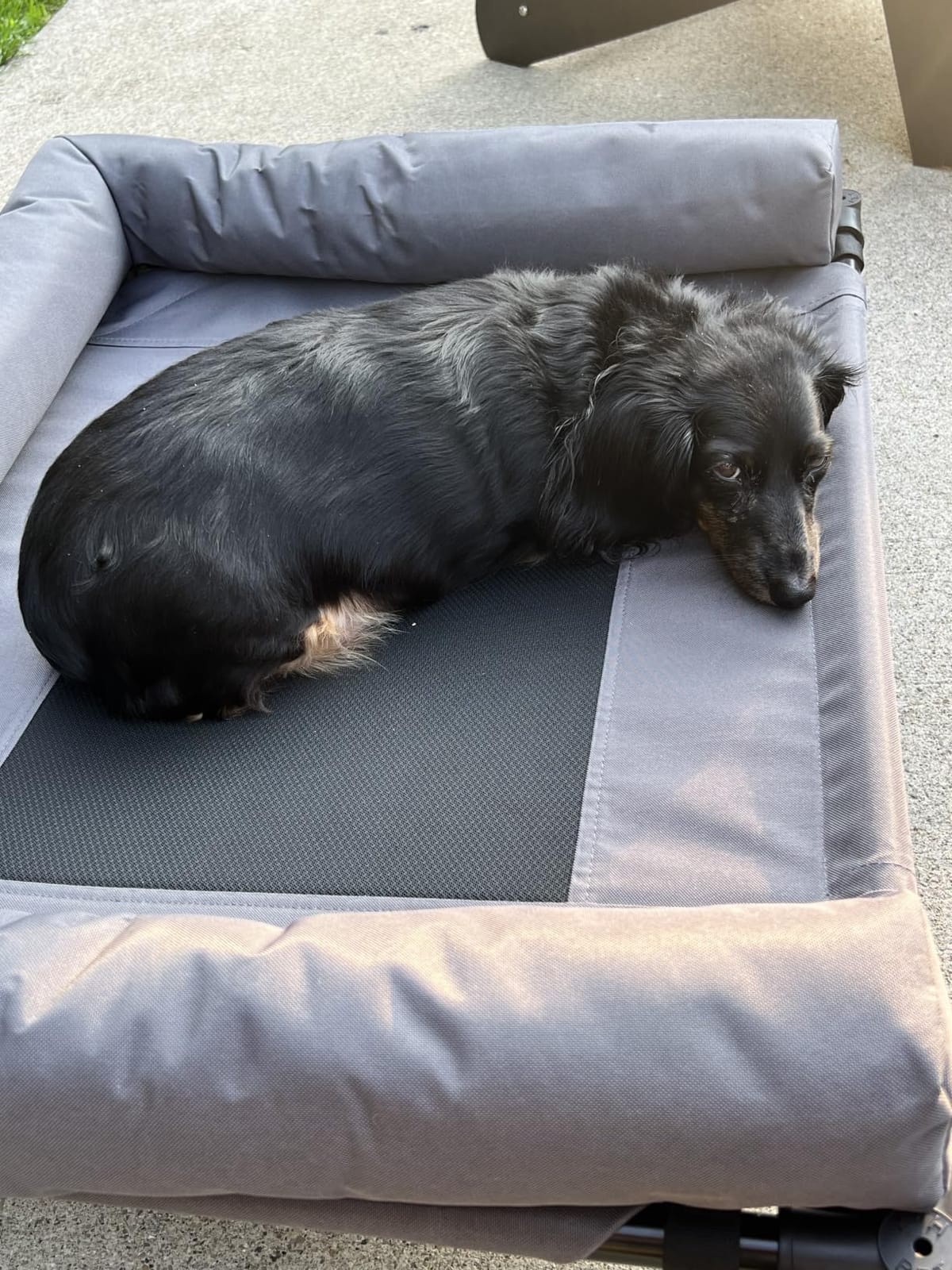 K&H Bolster Dog Cot Cooling Indoor/Outdoor Elevated Dog Bed Hammock with Removable Bolster, Washable Mesh Cover, Raised Camping Bed for Large Pets - Charcoal Large 42