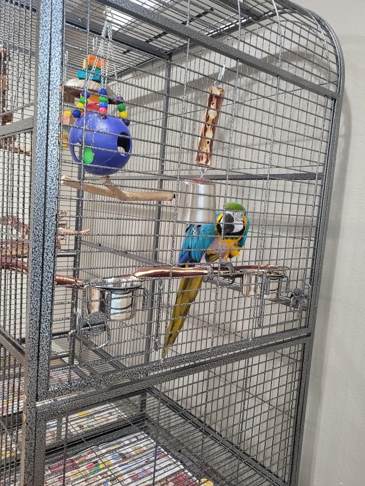 Double Cage with Center Divider for Bird Parrot Aviary W64xD32xH73 customer photo 2