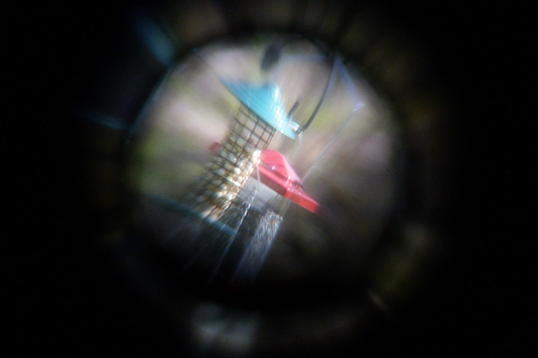 Celestron Telescope T-Ring for Mirrorless Sony E Cameras - Astrophotography | Turns Your Telescope into a Telephoto Lens, M42 T-Thread customer photo 2