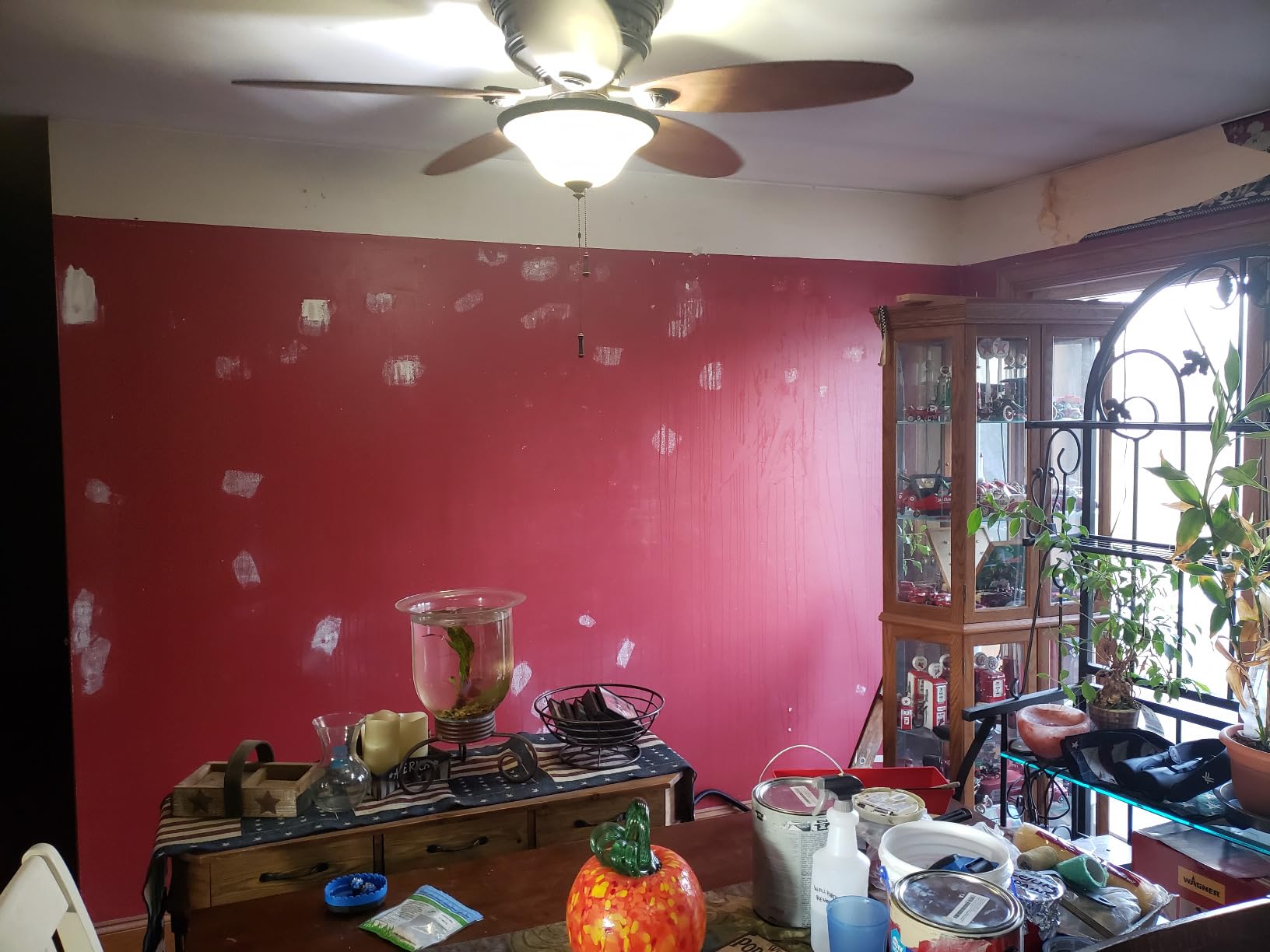 Wagner Spraytech 2439019 725 Wallpaper Steamer, Steam Cleaner for Easy Wallpaper Removal, 2 Steam Plates Included customer photo 2