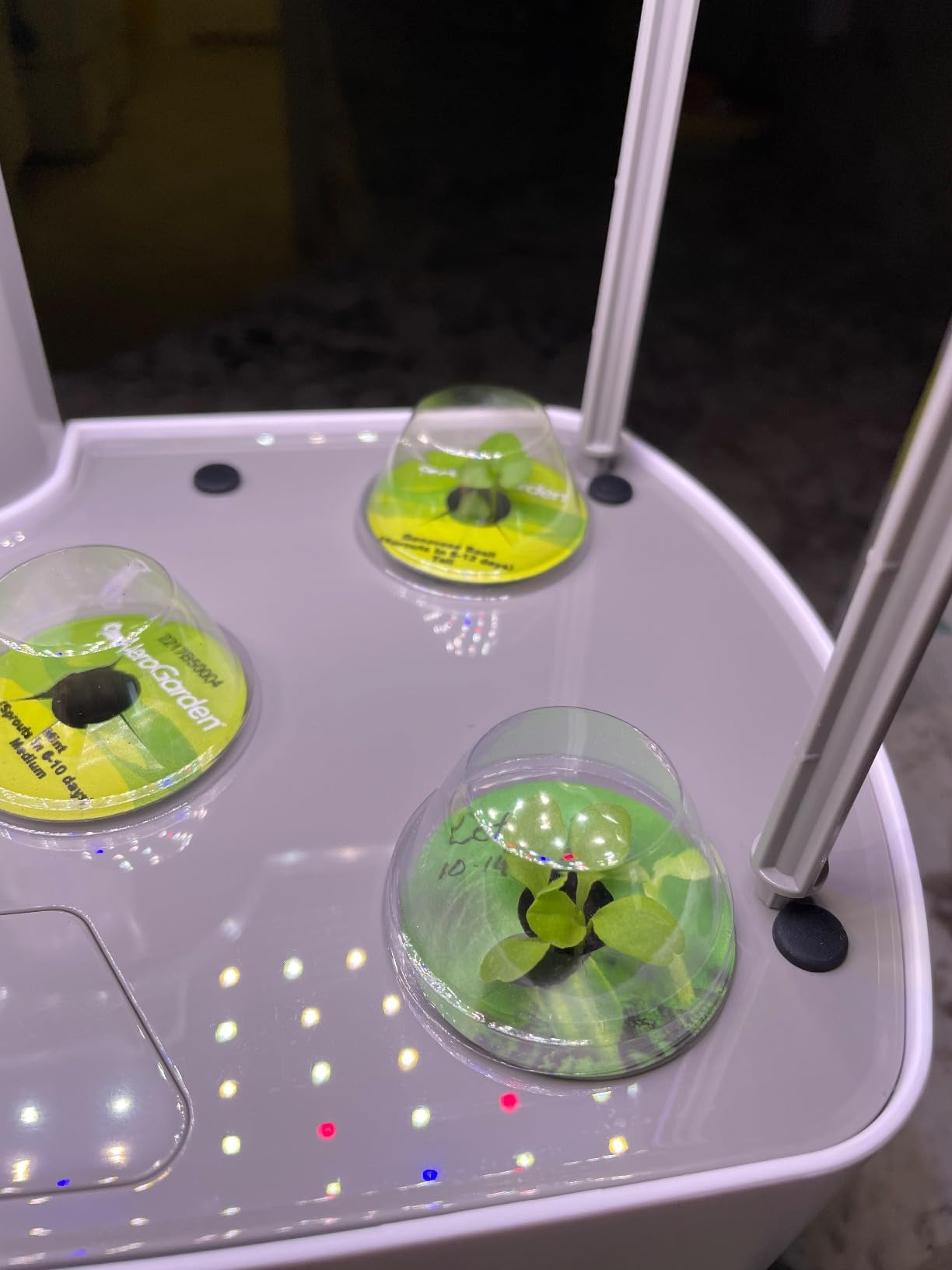 AeroGarden Harvest XL Indoor Garden Hydroponic System with LED Grow Light and Herb Kit, Holds up to 6 Pods, White customer photo 1