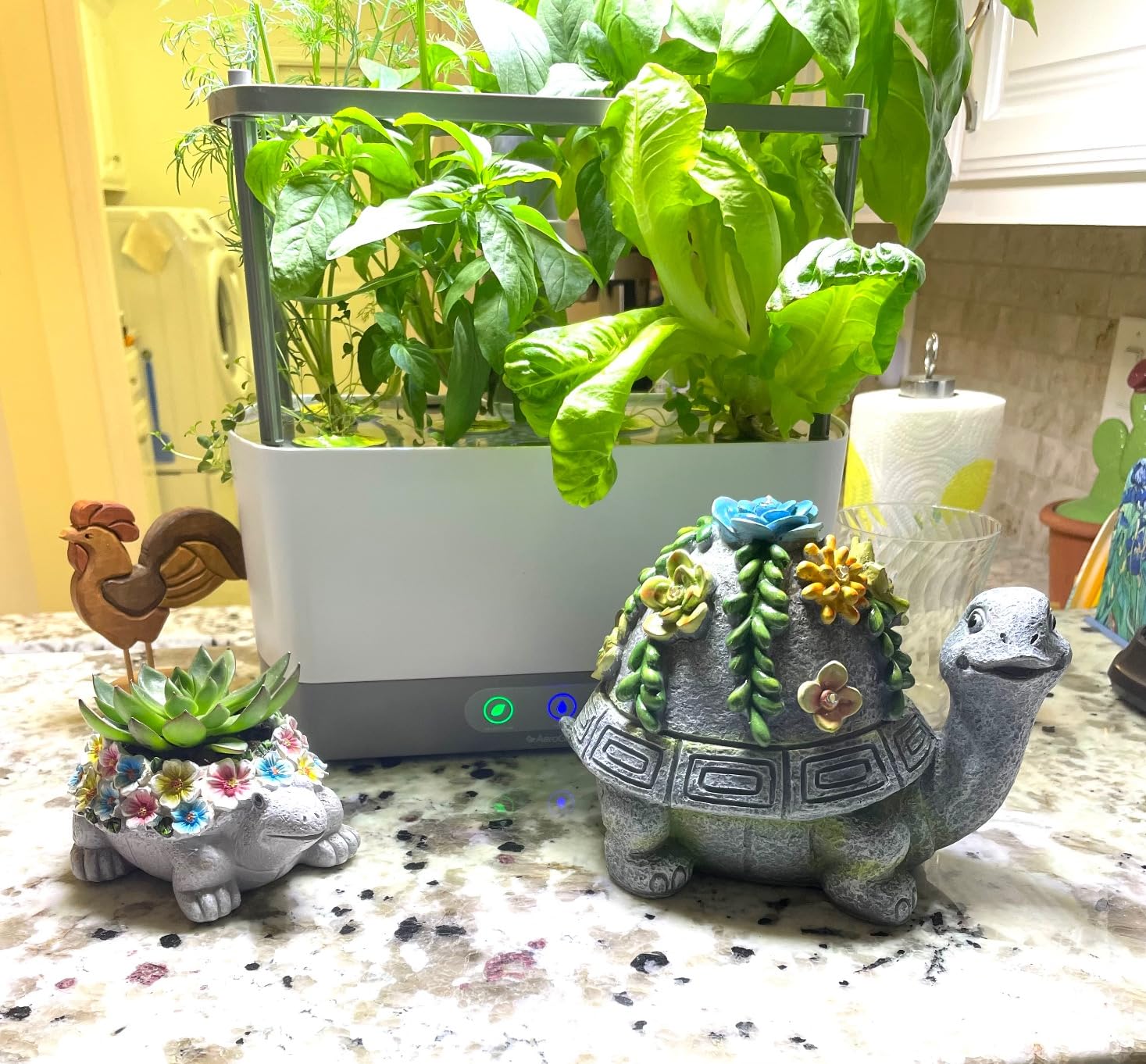AeroGarden Harvest XL Indoor Garden Hydroponic System with LED Grow Light and Herb Kit, Holds up to 6 Pods, White customer photo 2