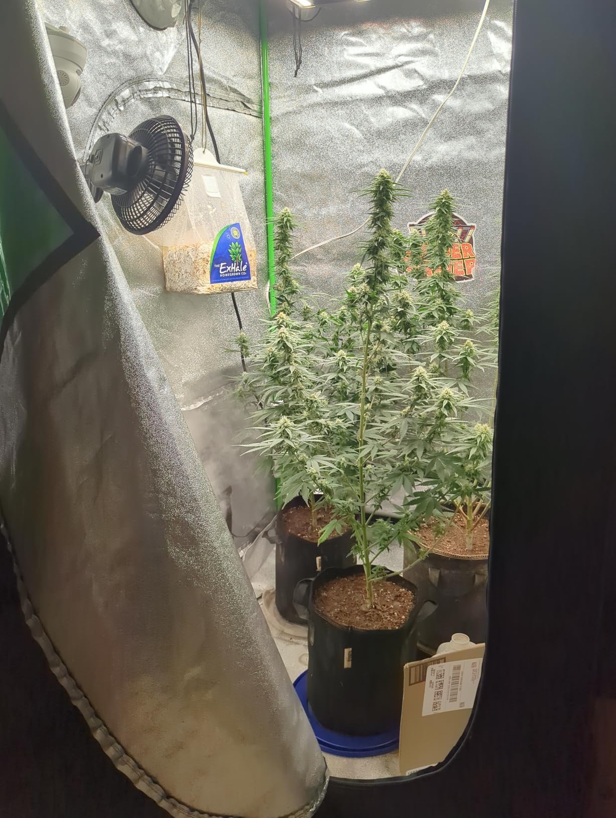 Spider Farmer 2x2 Grow Tent 24